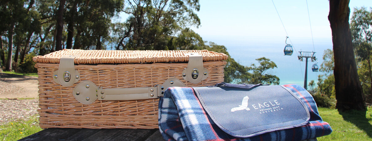 ase-web-picnic-header.jpg