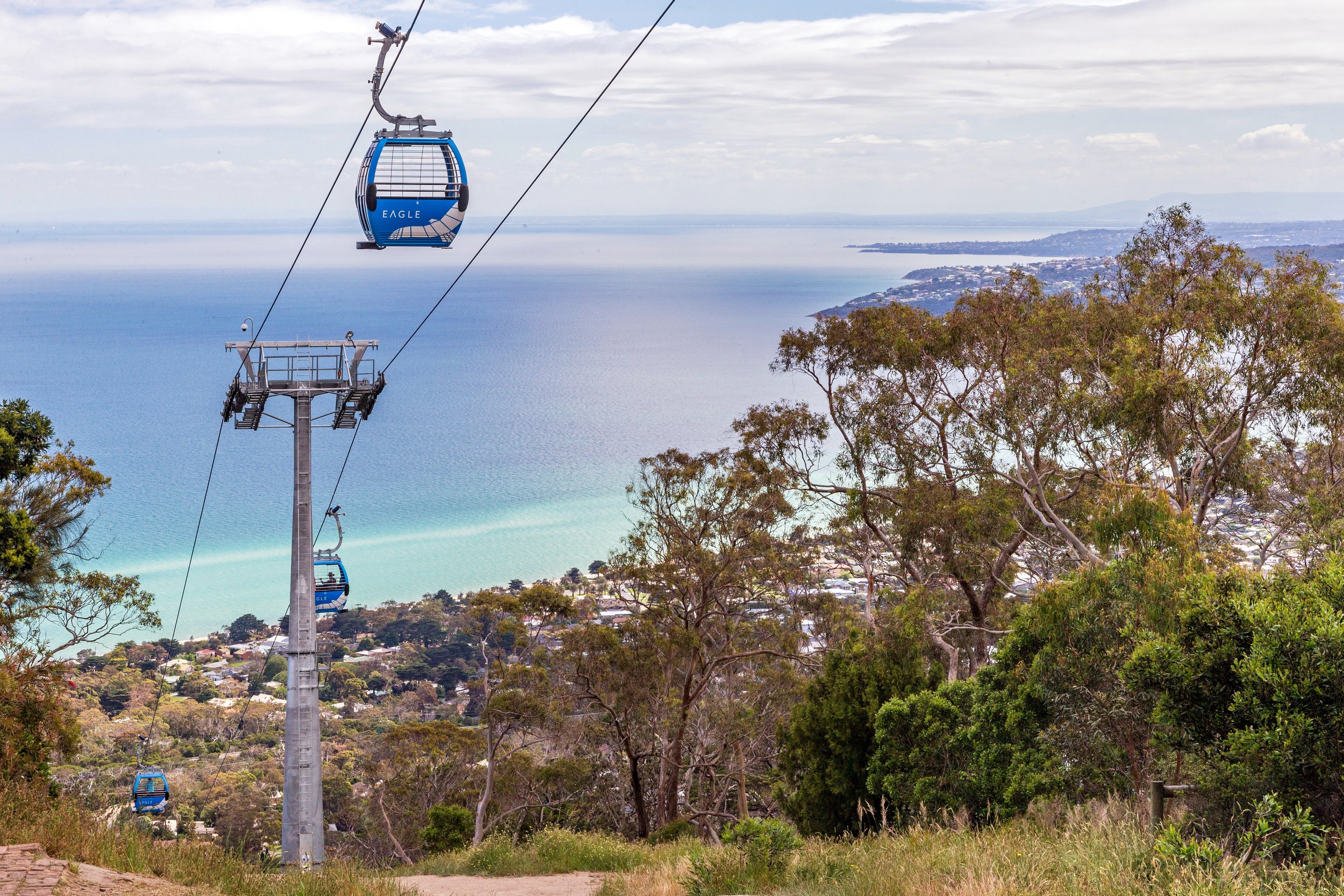 Arthurs Seat Opening 0001.jpg