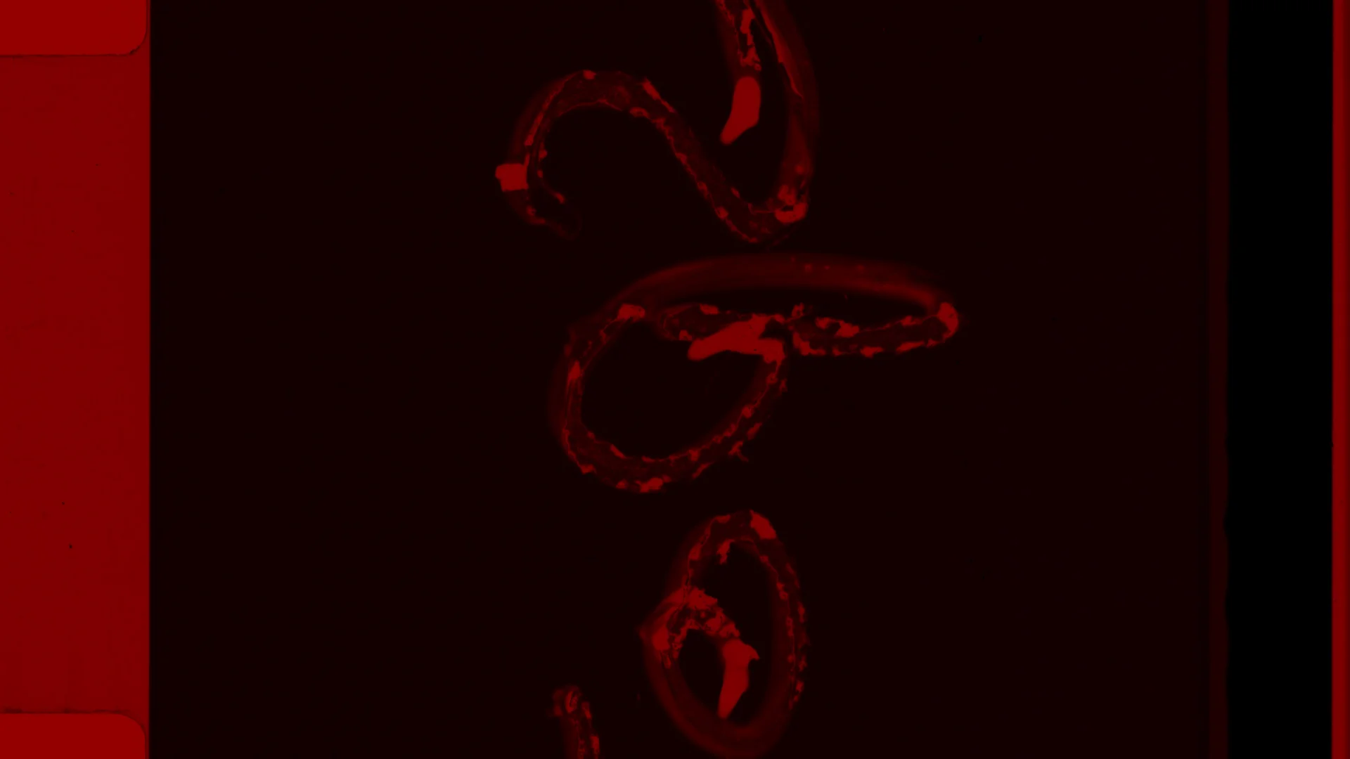 BLANK - TRAILER.00_00_08_17.Still037.jpg
