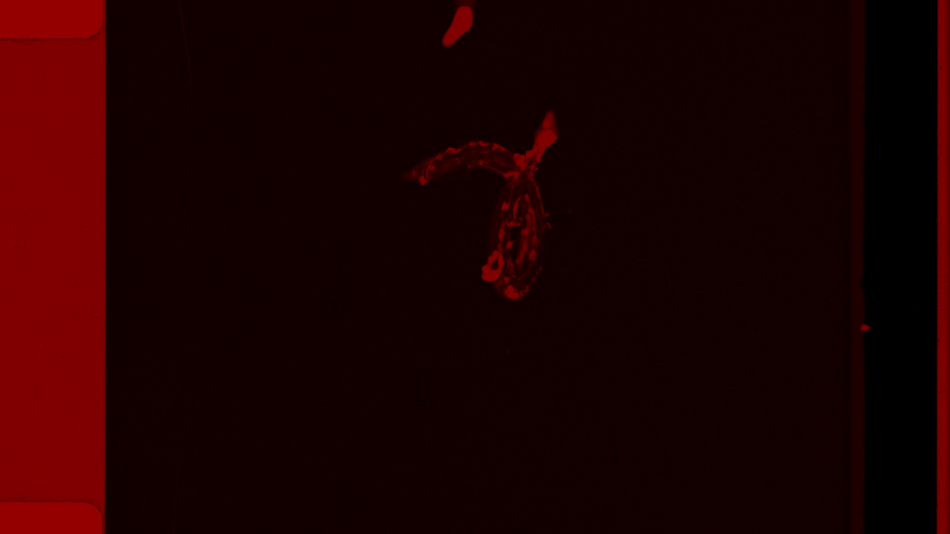 BLANK - TRAILER.00_00_08_19.Still039.jpg