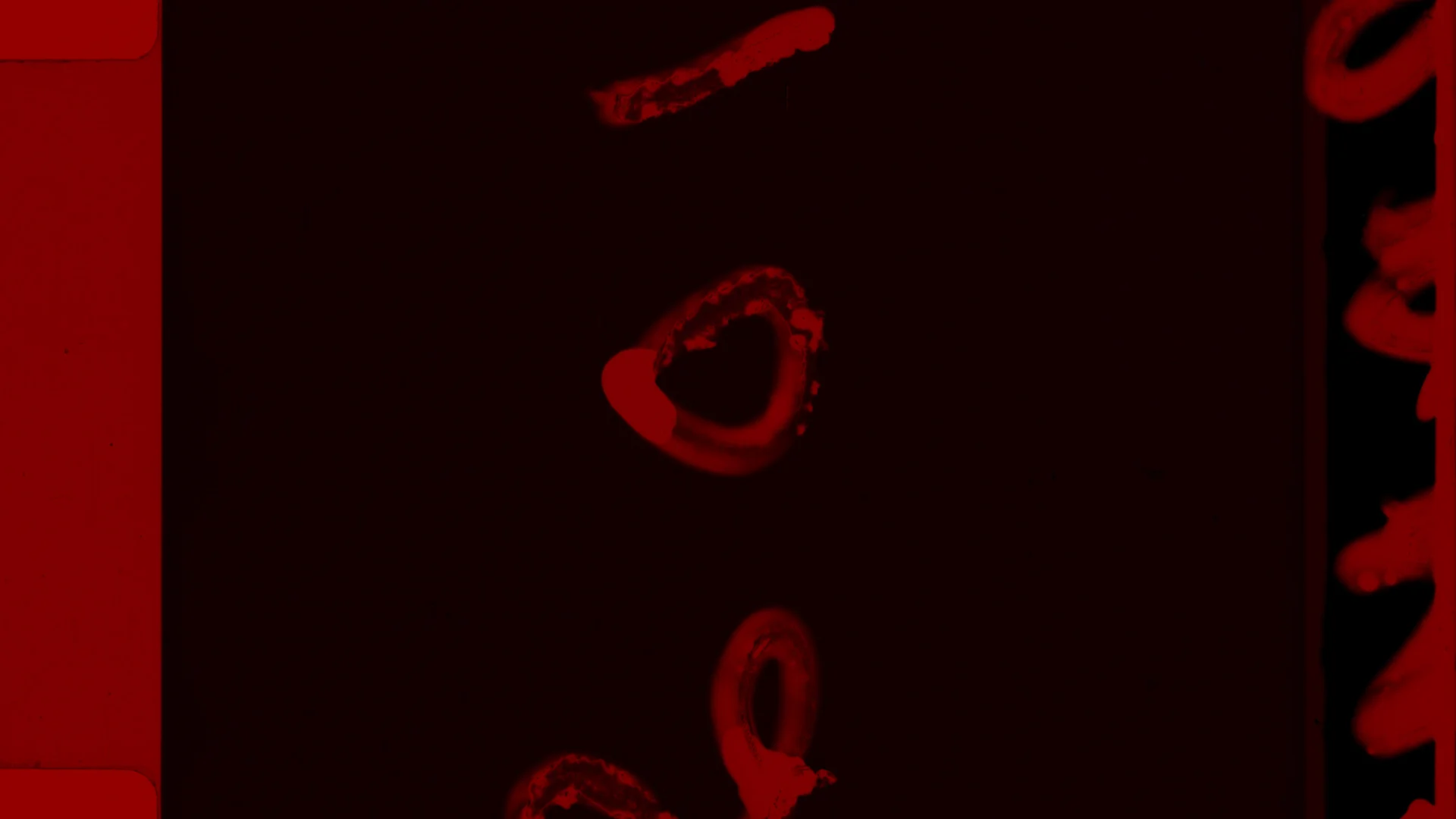 BLANK - TRAILER.00_00_08_21.Still041.jpg