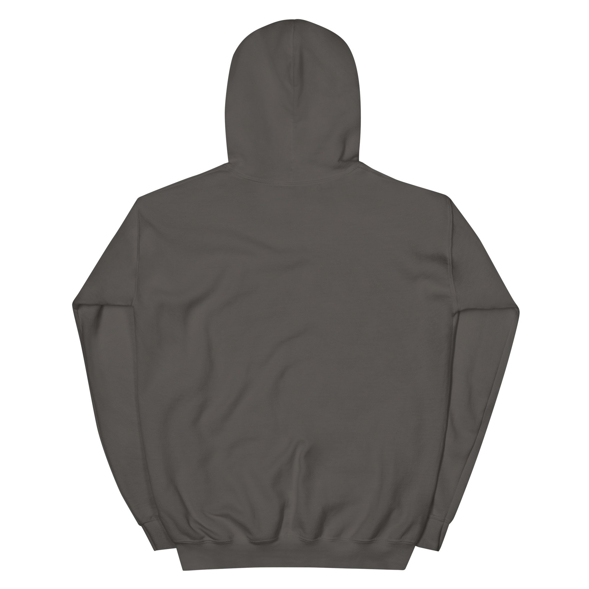 unisex-heavy-blend-hoodie-charcoal-back-6a6a33320c638.jpg