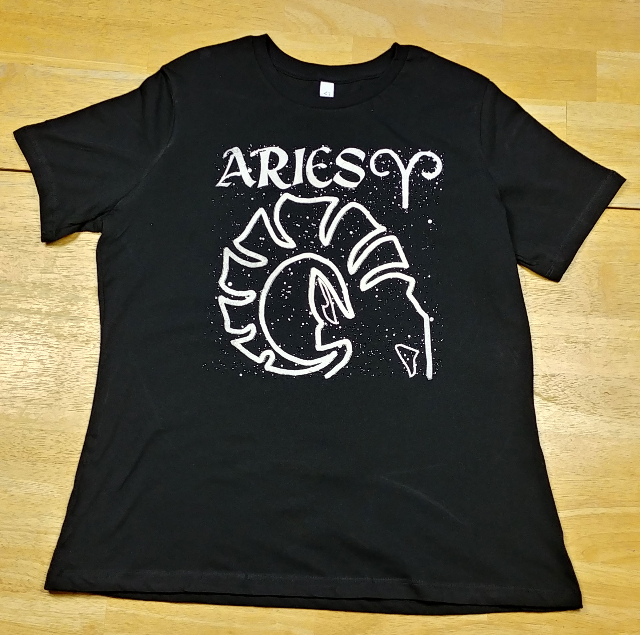 Aries4.jpg