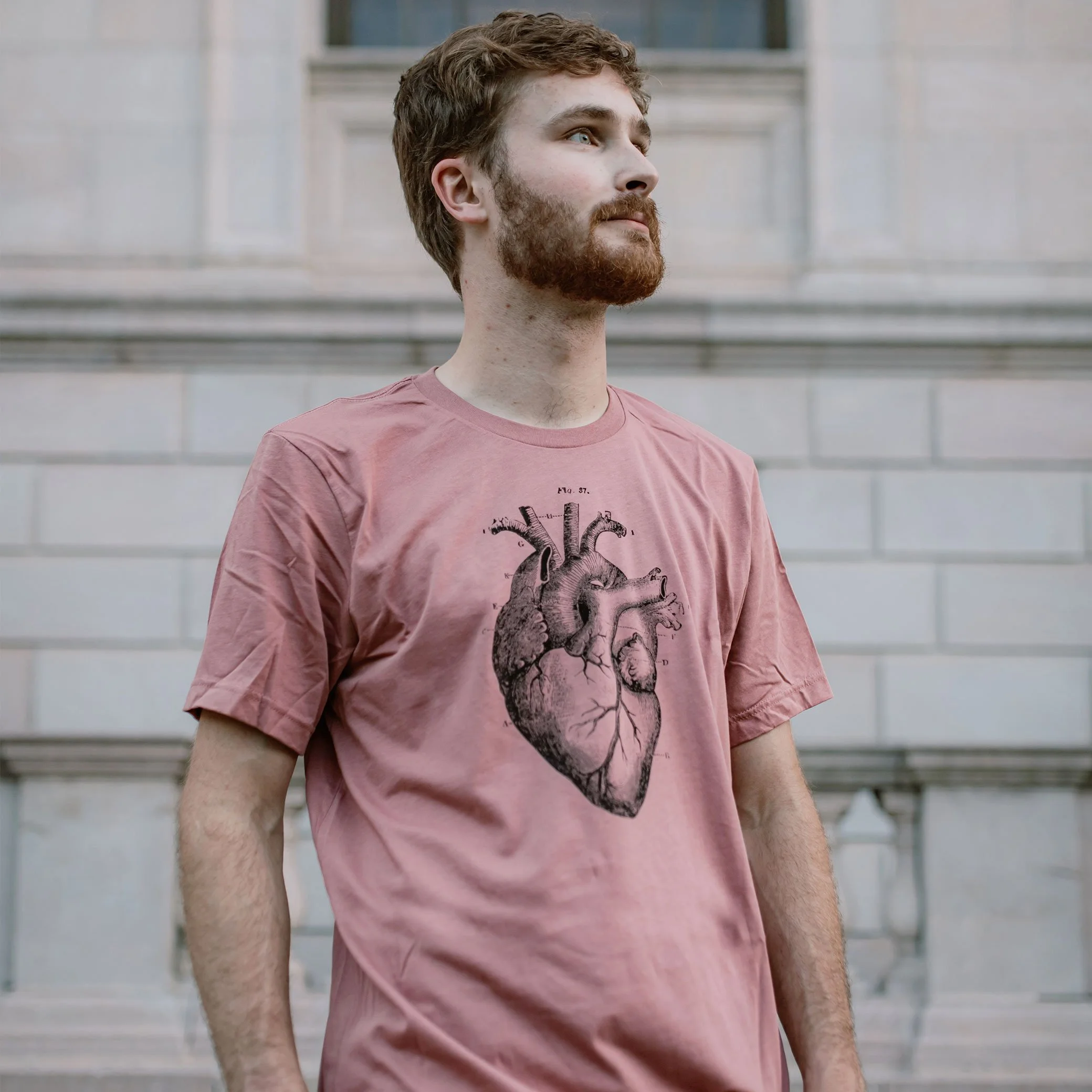 Anatomical Heart Graphic — Haack Shack Designs
