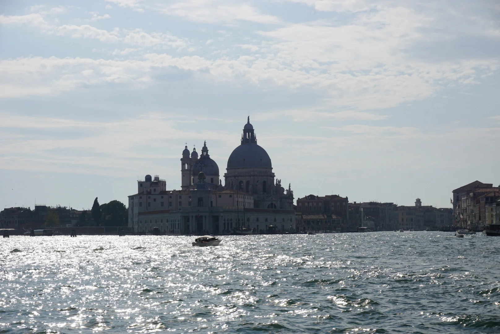IMG_8987.jpg