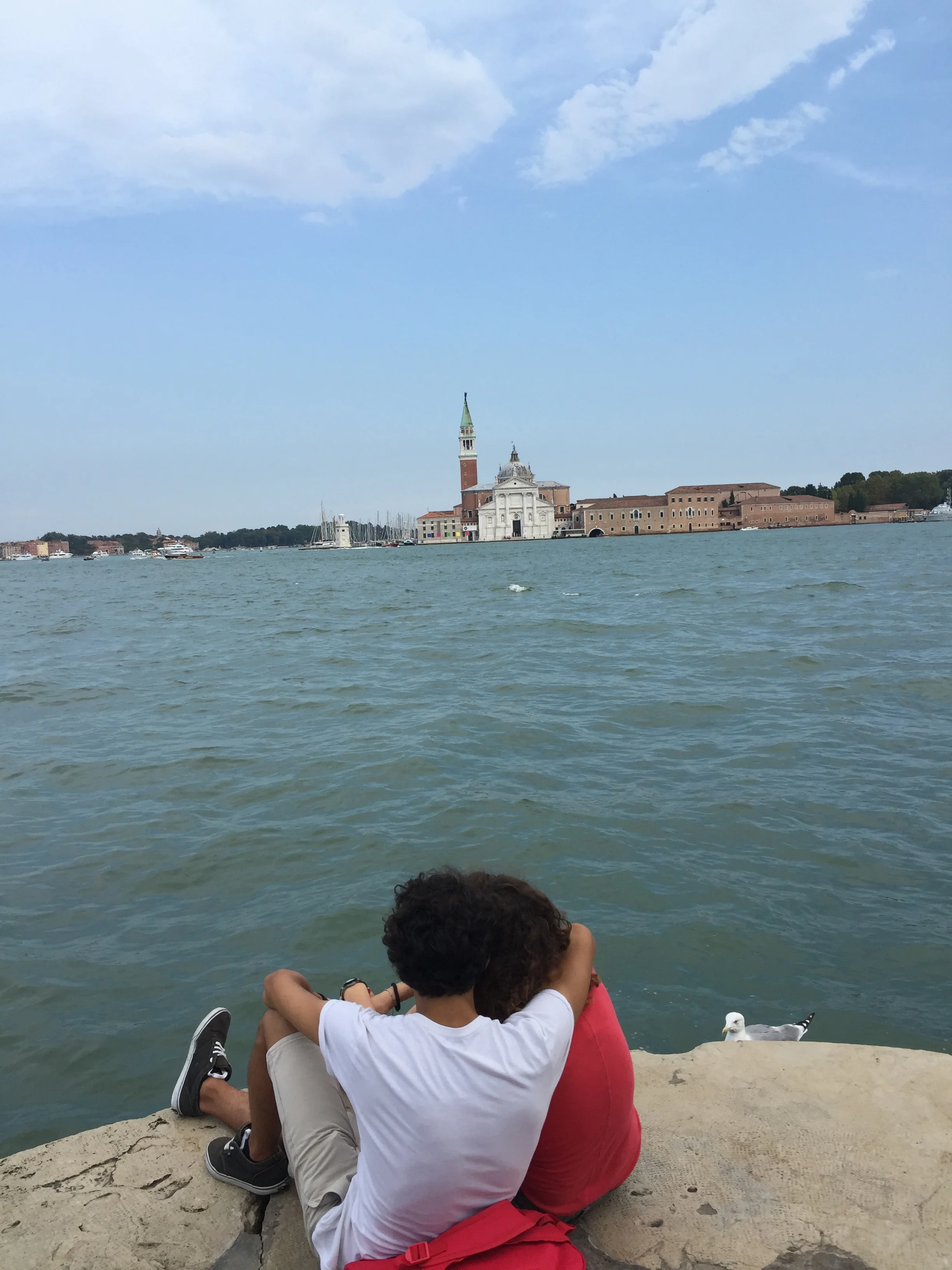 IMG_6241.jpg