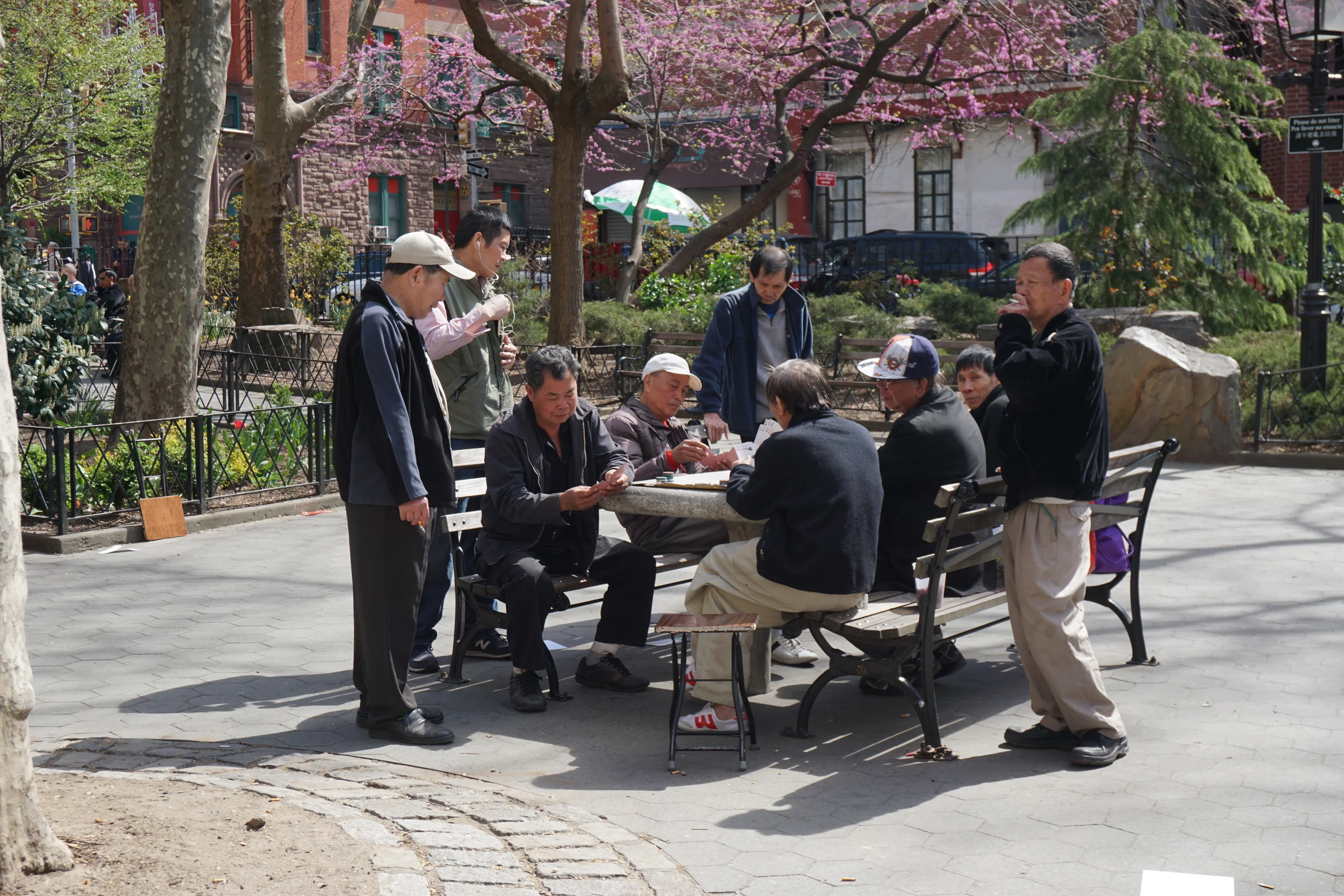 DSC08572.JPG