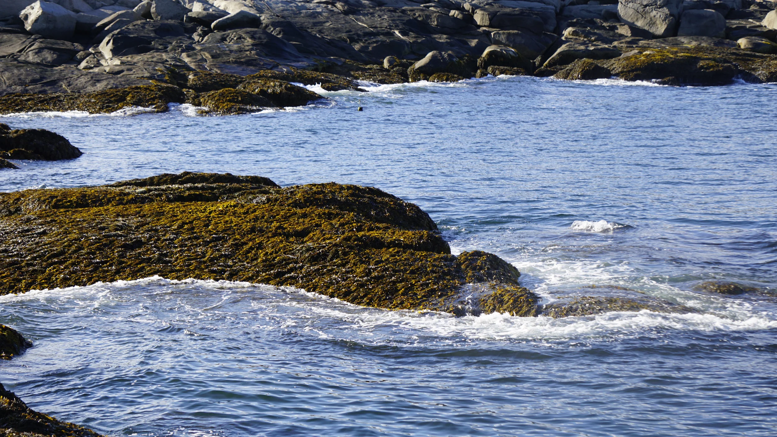 _DSC6692.JPG