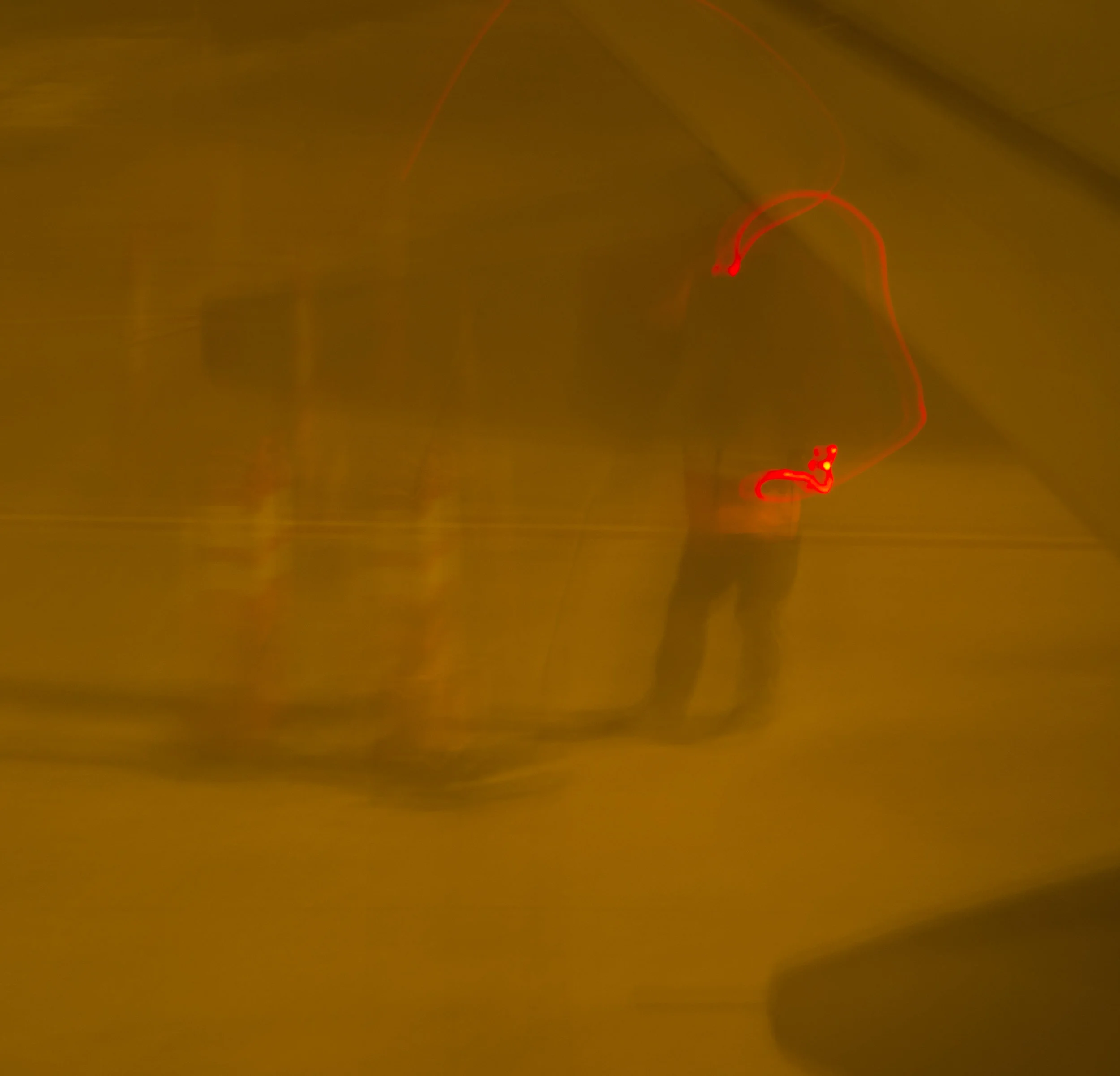 _DSC0313 Cropped.jpg
