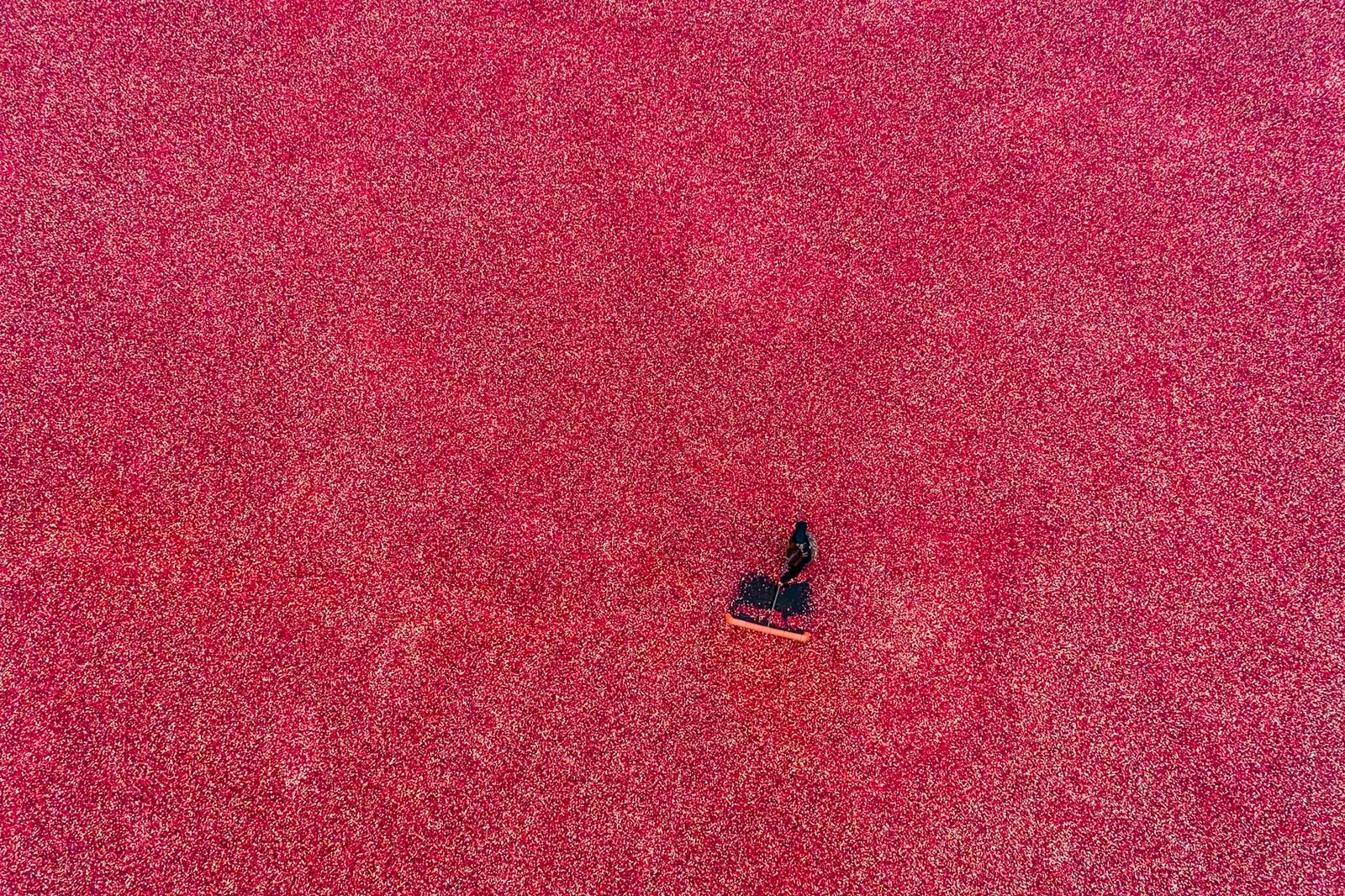 DJI_0014.jpg