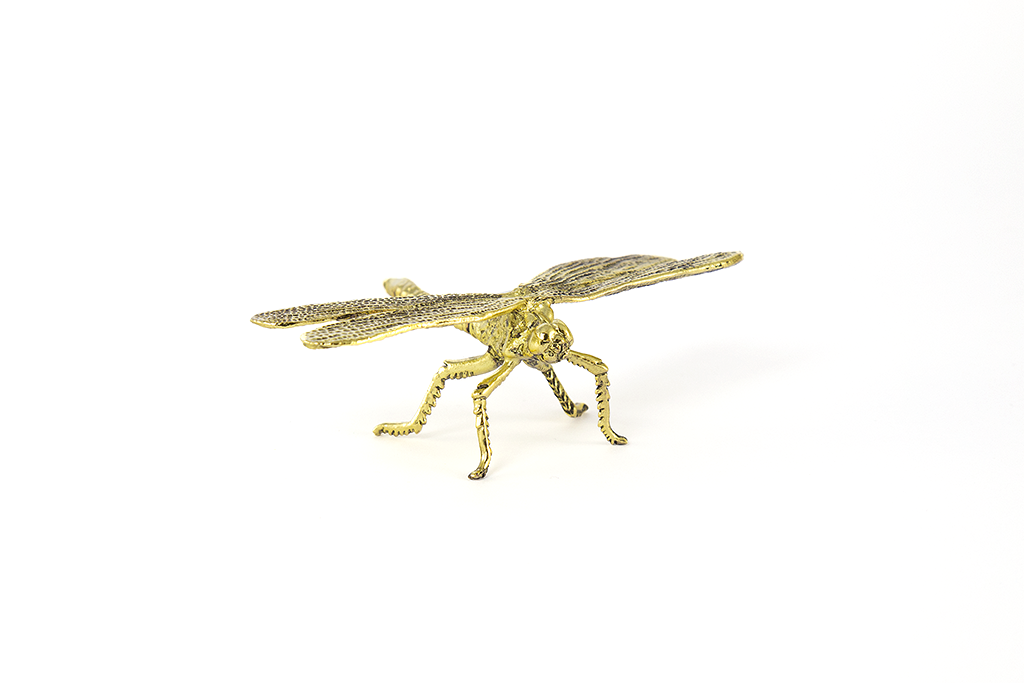 gold dragonfly