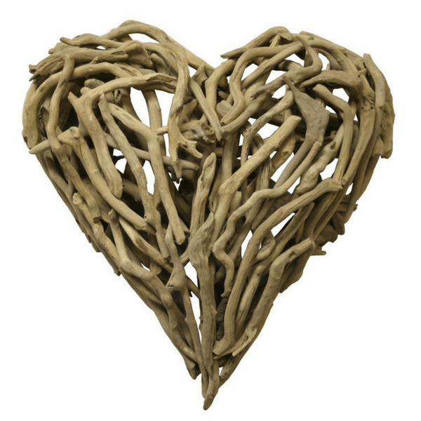 fronting driftwood