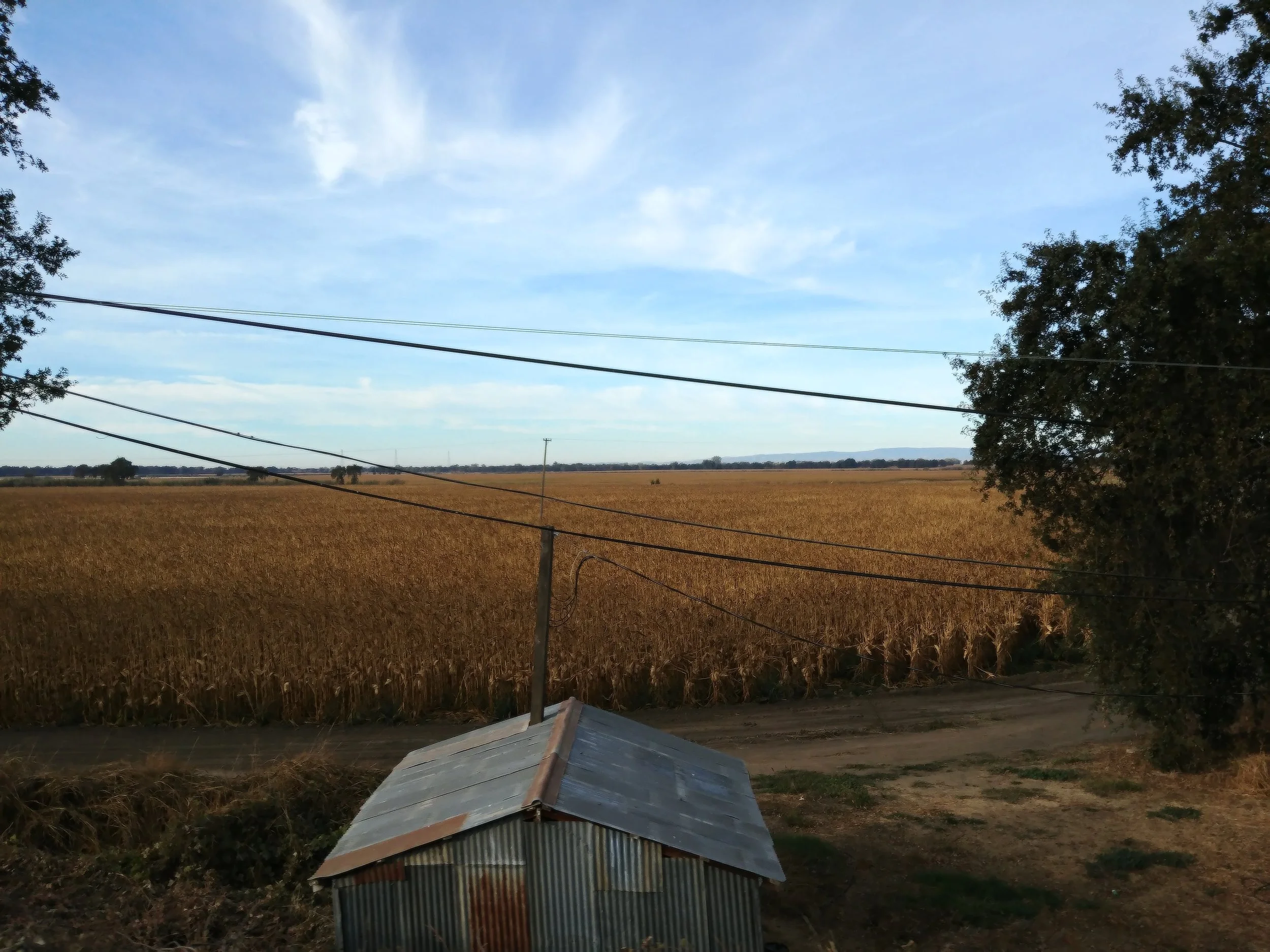 20181104_081324_HDR.jpg