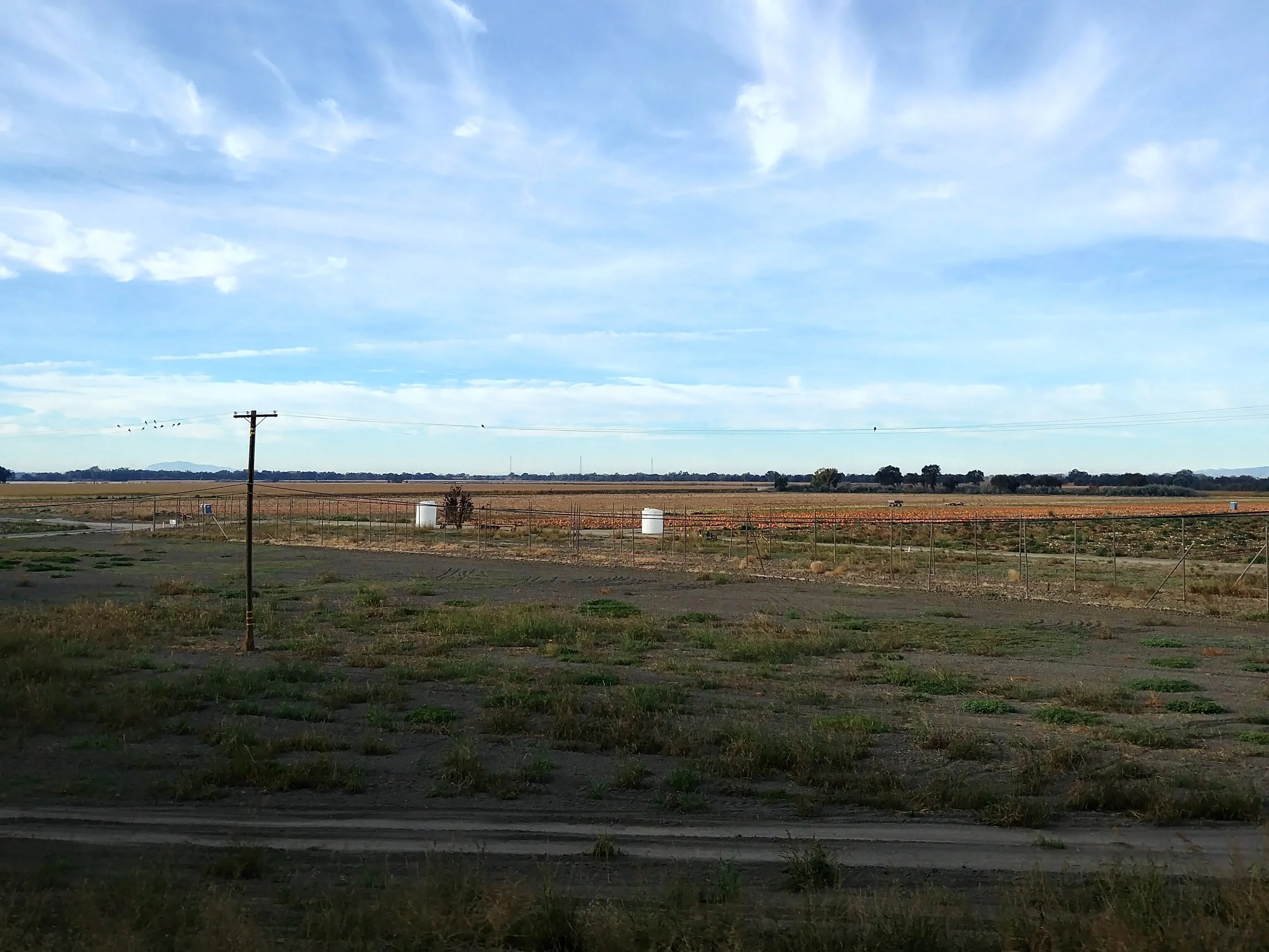 20181104_081251_HDR.jpg