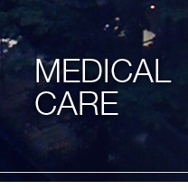 UEH-masthead-10-medicalcare.png