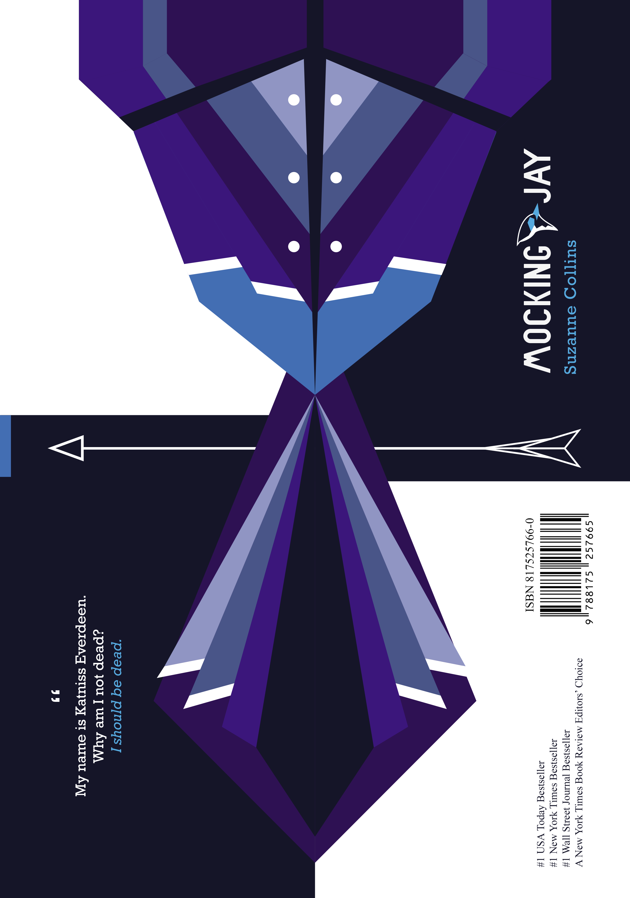 book cover portfolio.png