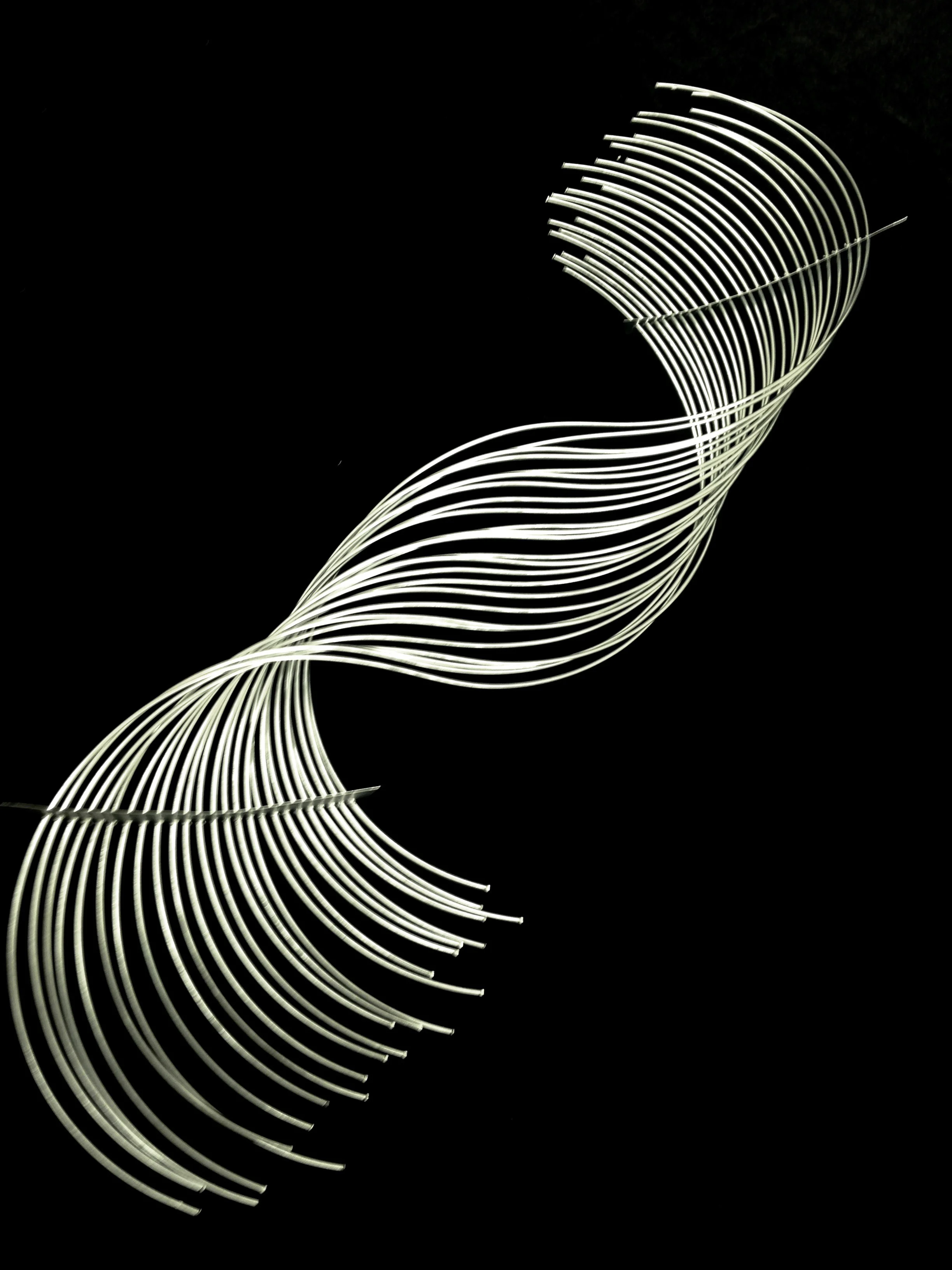 Species No. 3