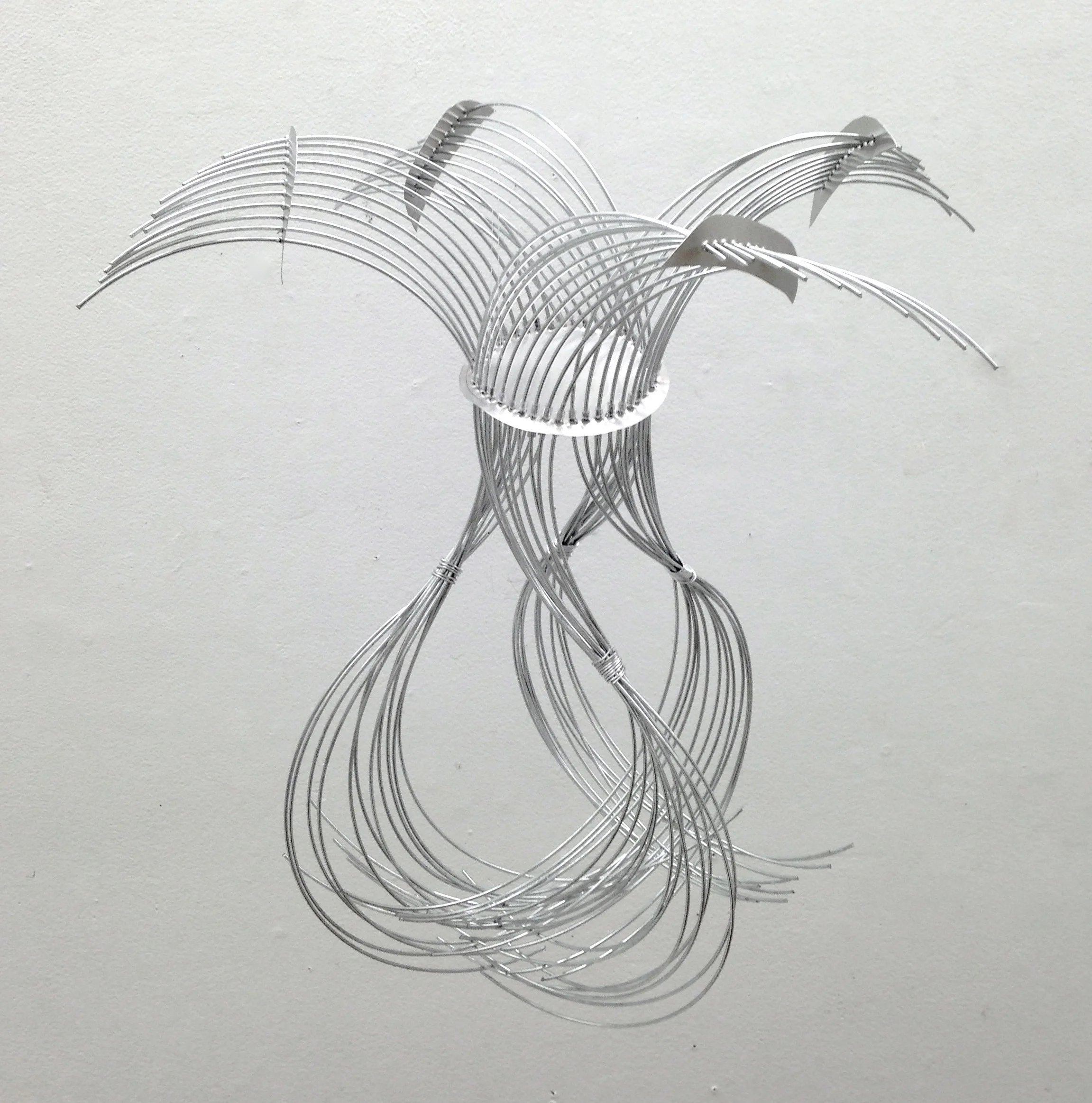Species No. 5