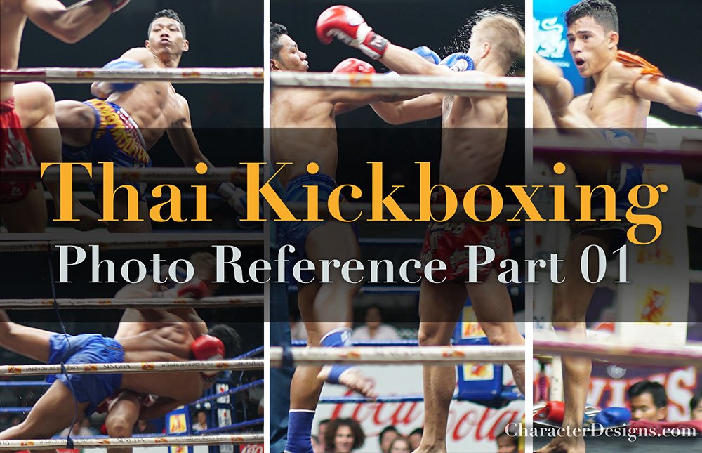 Kickboxing Banner Part 01.jpg