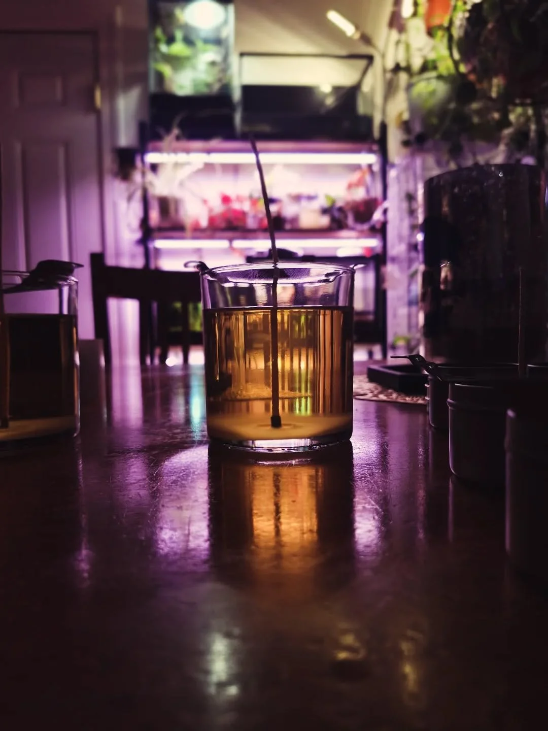 Current view 🕯️

#candleseason #harmonhollow #harmonhollowcandles #scentedandsocial #california #viewpoint #soycandles #artisancandles #artisancrafts #spookyseason #falldecor #handmadecandles #homemadecandles #cleanburn #candleparty