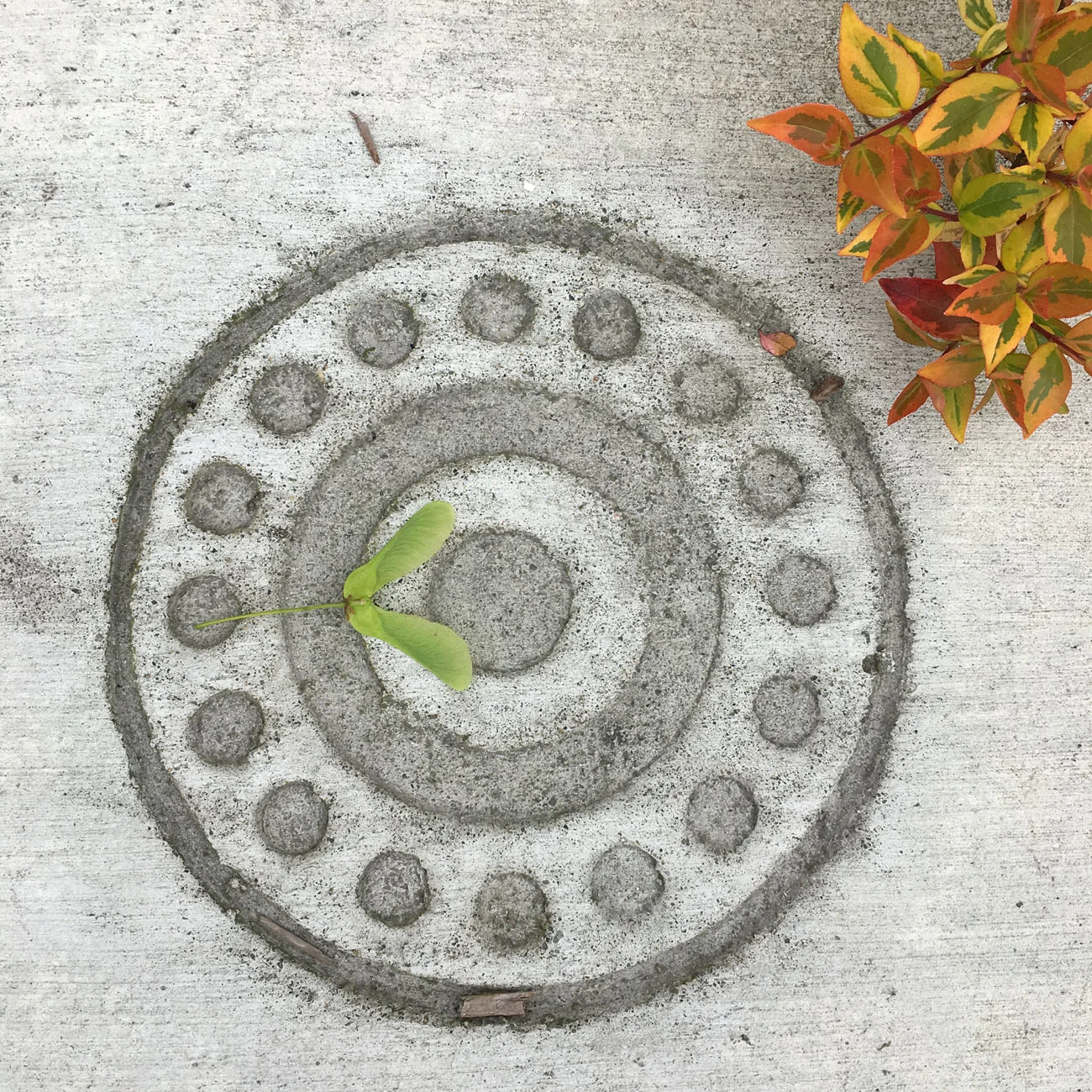 tollefson_kristin_Conduit_sidewalk_stamping_detail_medium_large.jpg