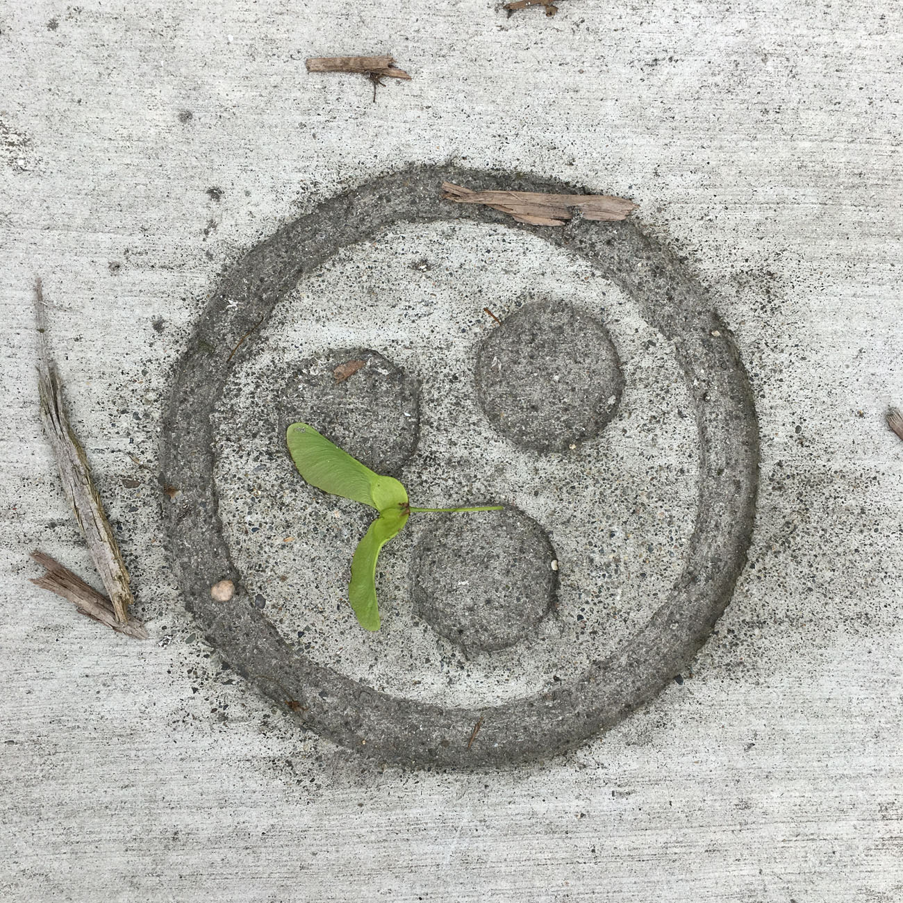 tollefson_kristin_Conduit_sidewalk_stamping_detail_small.jpg