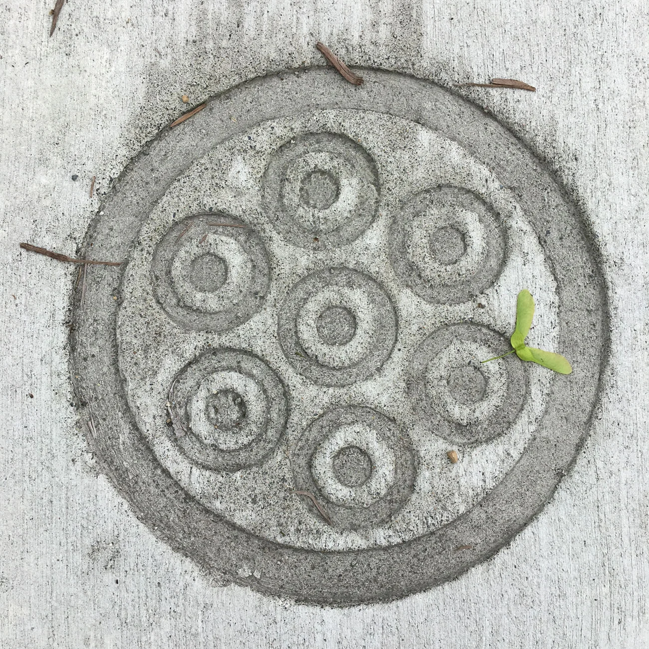 tollefson_kristin_Conduit_sidewalk_stamping_detail_medium.jpg