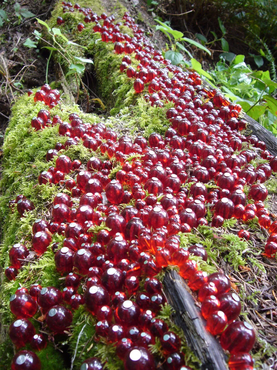 tollefson_kristin_bead_flow_detail.jpg