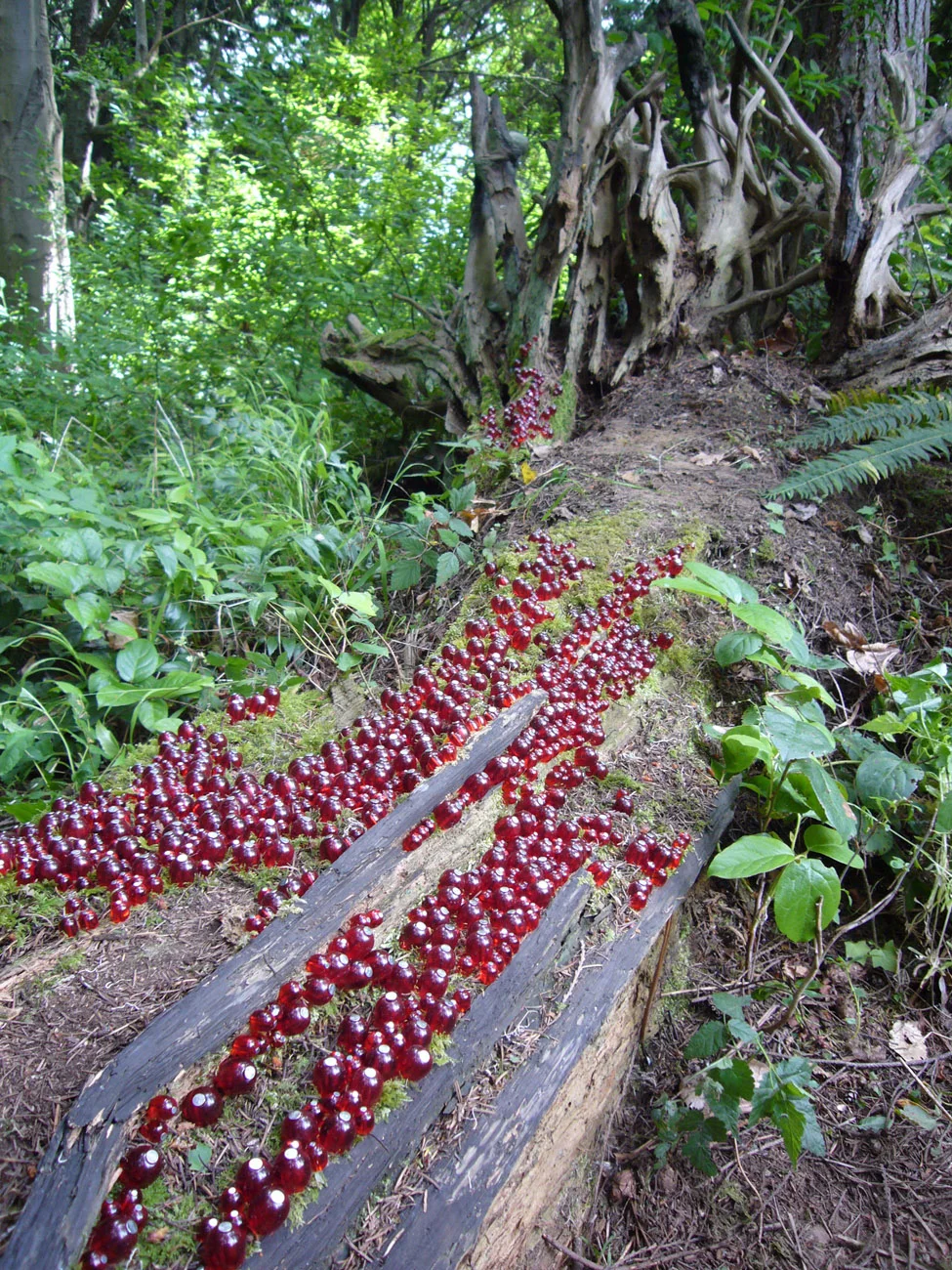 tollefson_kristin_bead_flow_log_view.jpg