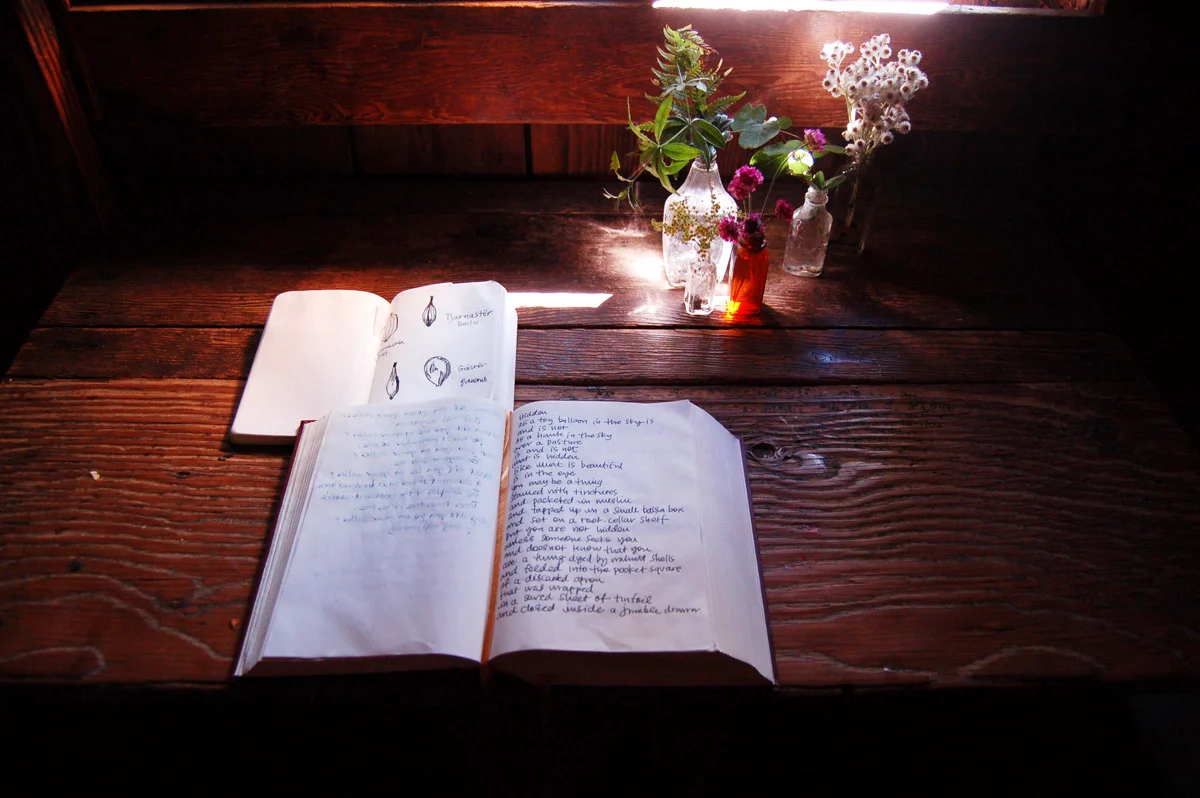 tollefson_kristin_flowerbeds_detail_book_and_flowers.jpg