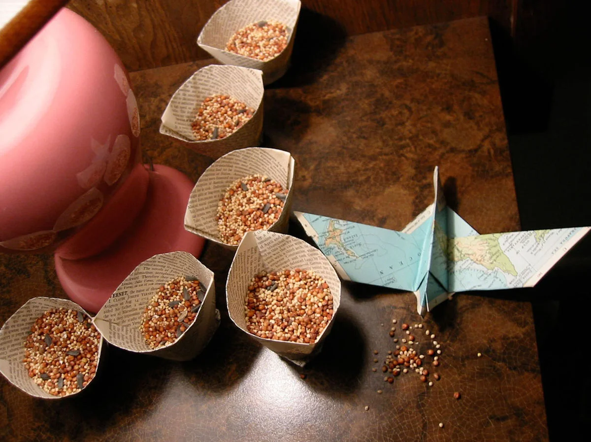 tollefson_kristin_haven_bird_seed_detail.jpg
