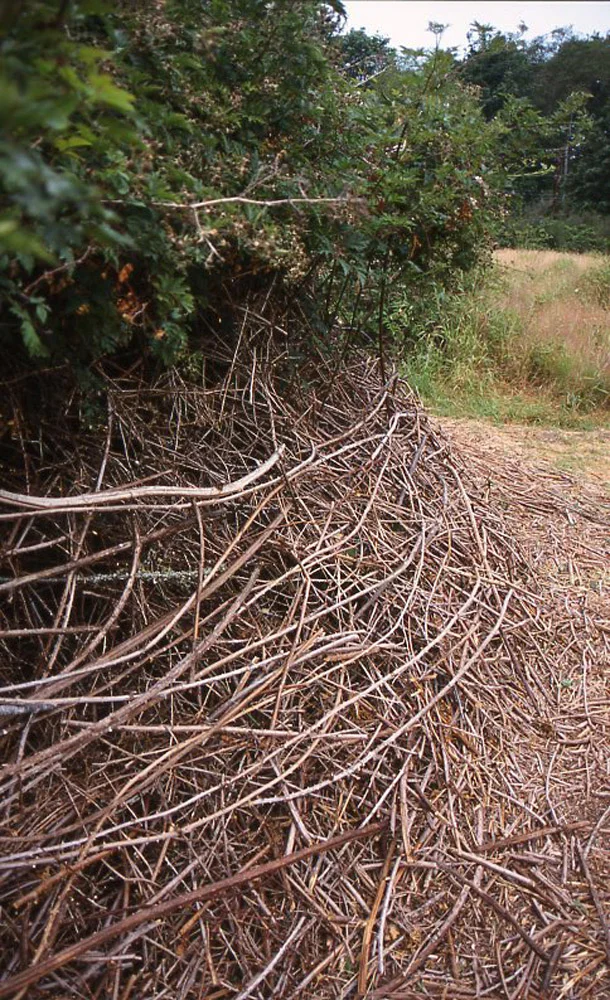 tollefson_kristin_transposition_mound_detail.jpg