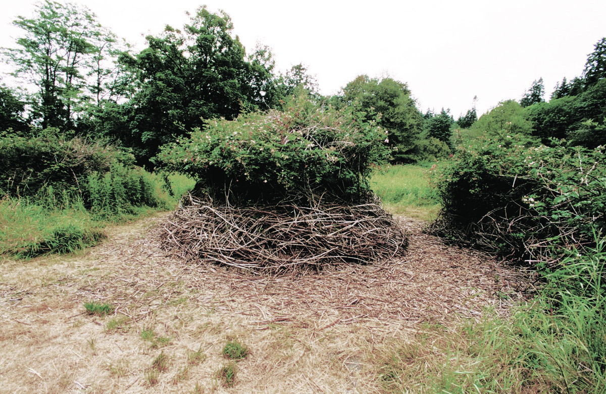 tollefson_kristin_transposition_mound_full_light.jpg
