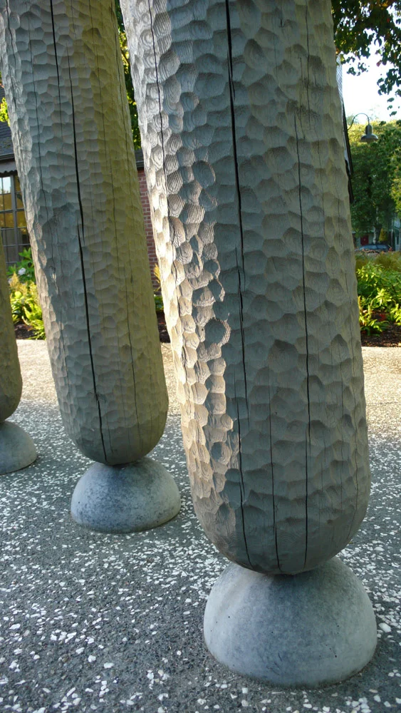 tollefson_kristin_WaterLogs_and_LeafHull_log_base.jpg