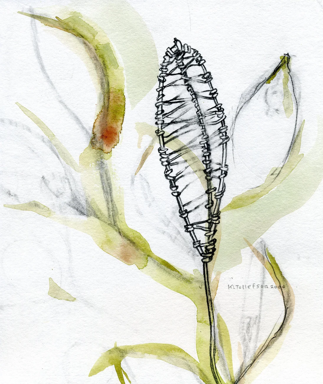 Studio — Kristin L. Tollefson