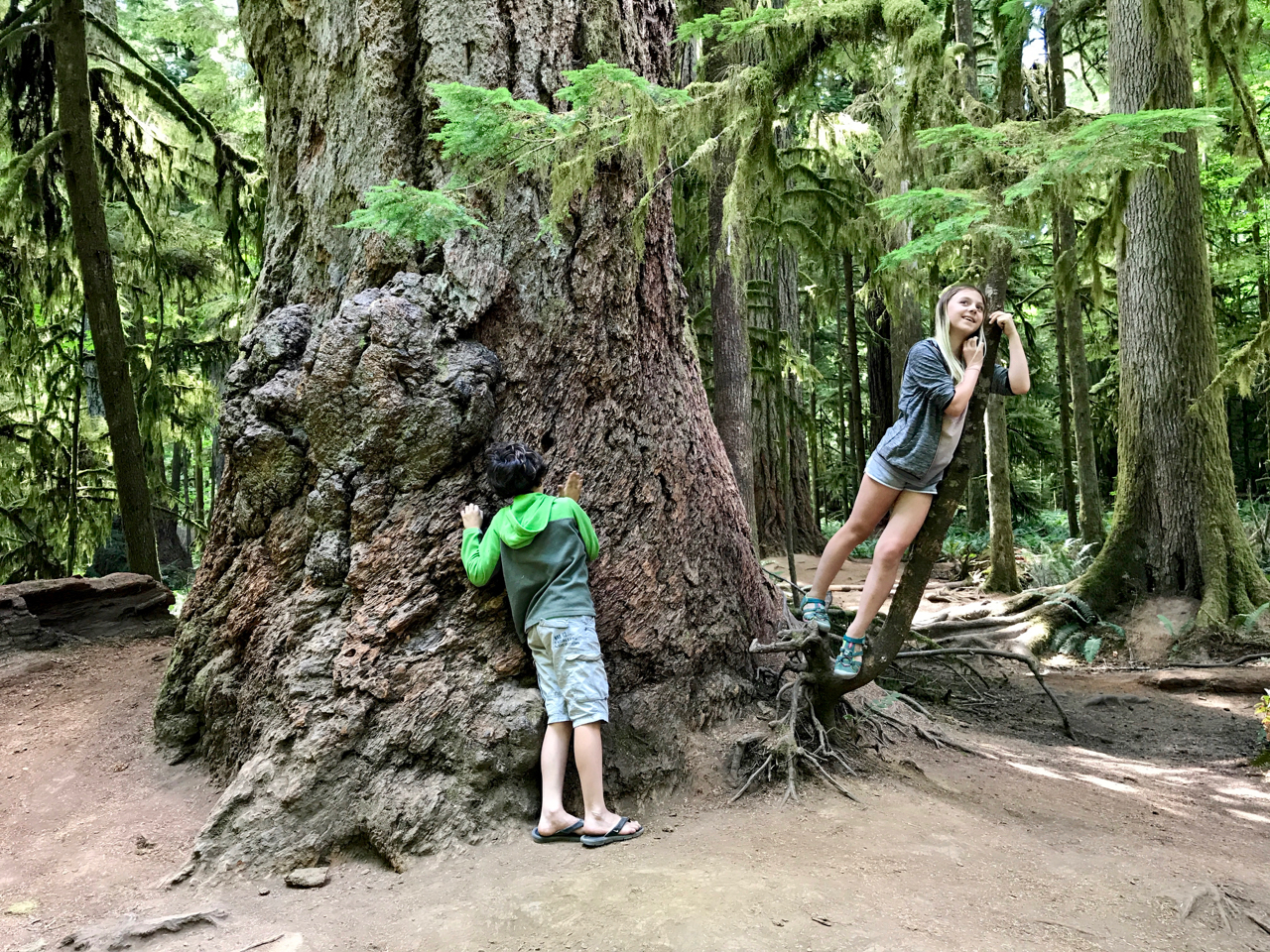 Tree Huggers, Wolf Lovers...