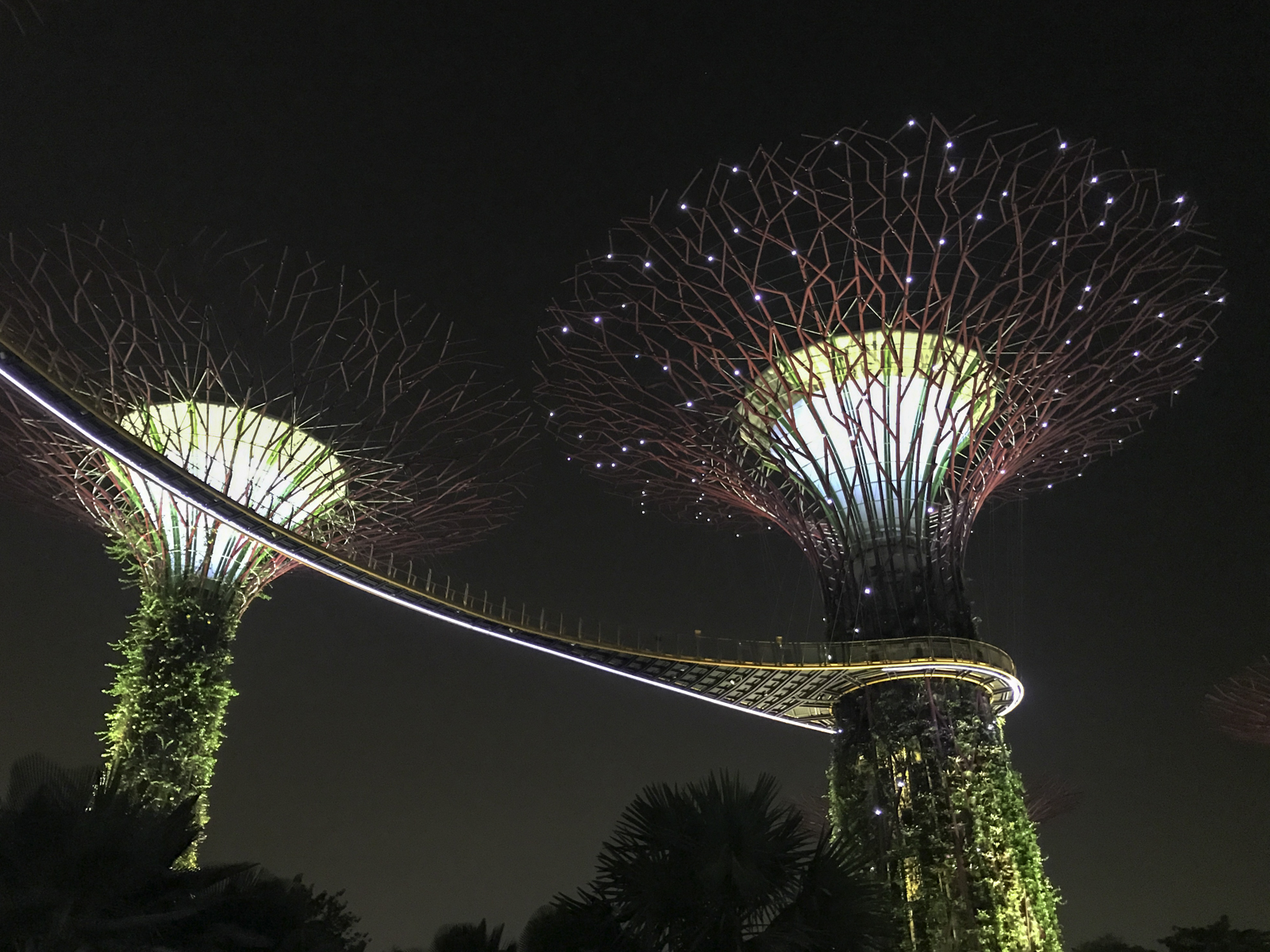 Supertrees at Night