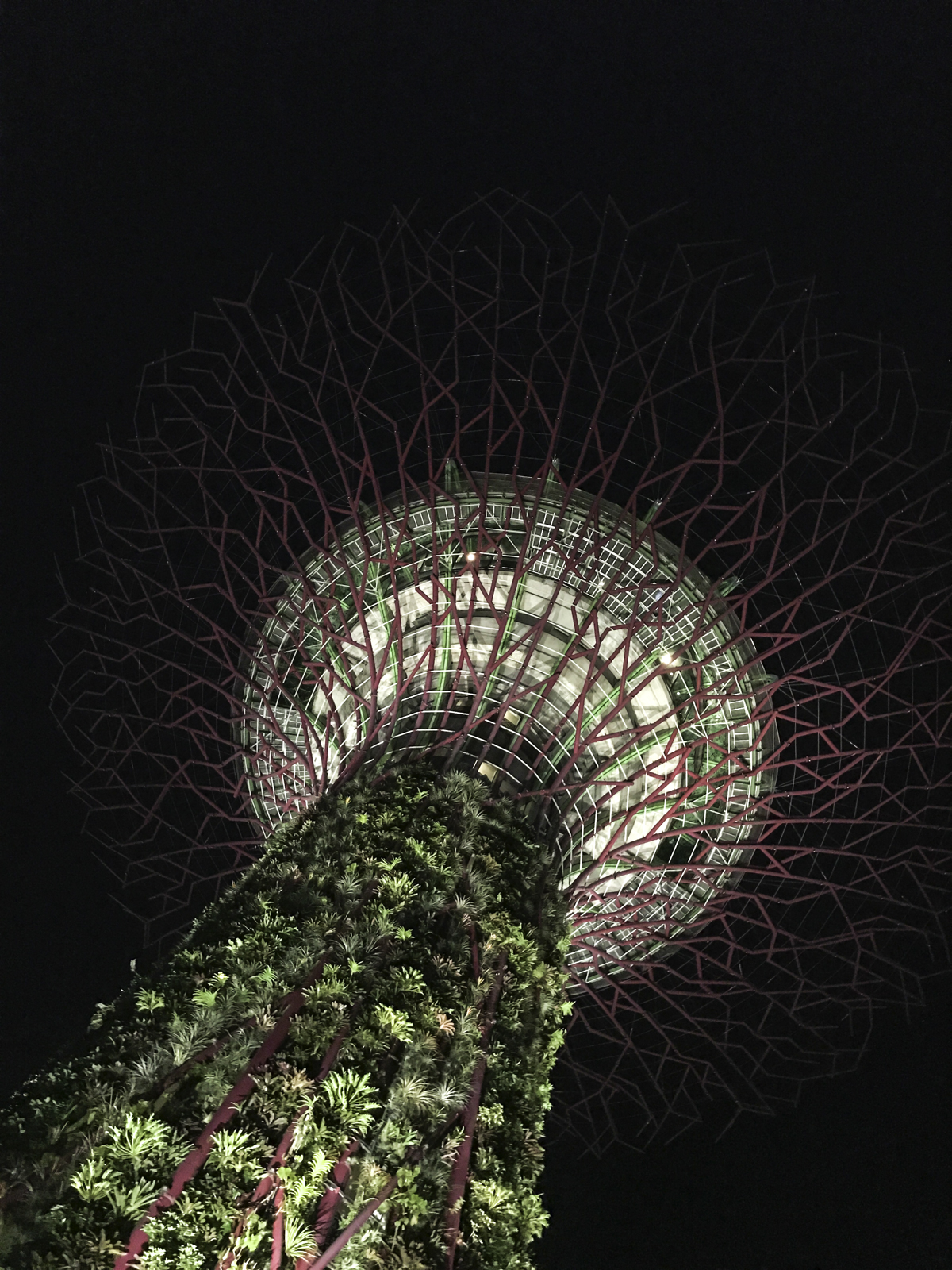 GardensByTheBay-3.jpg