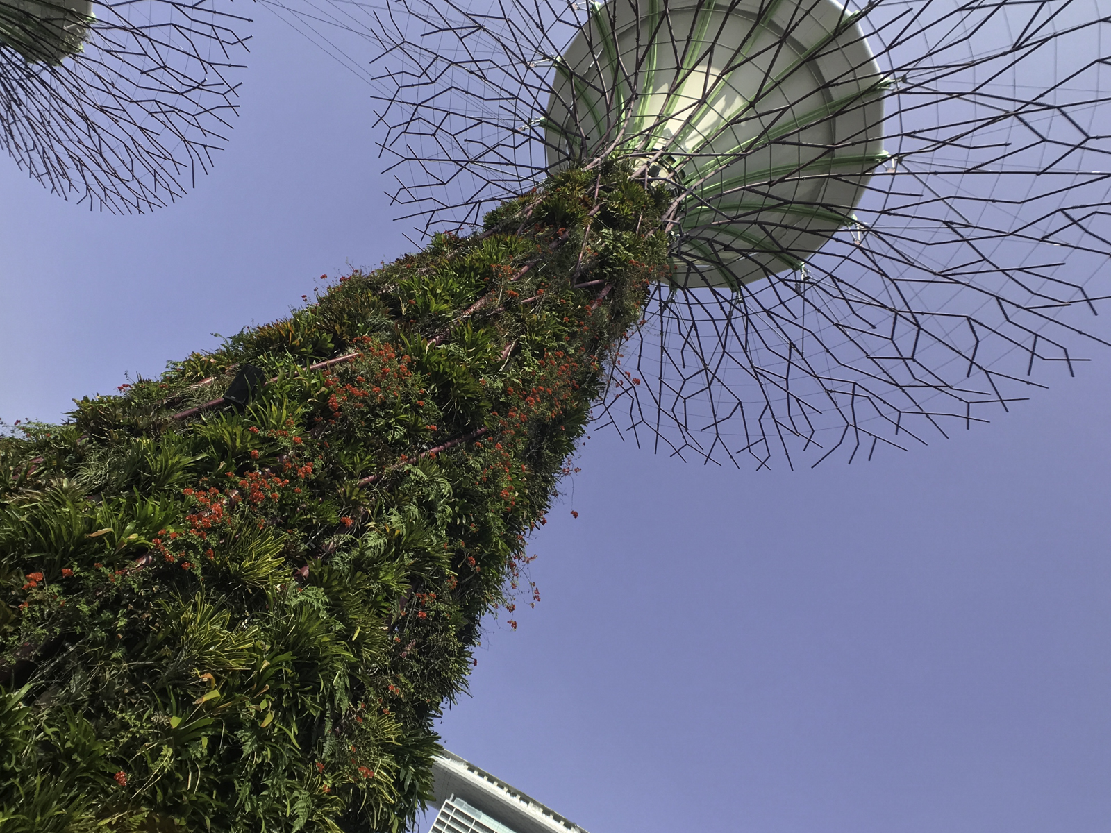 GardensByTheBay-4.jpg