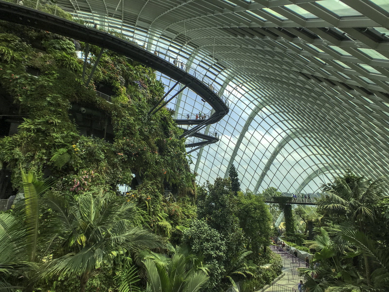 Inside the Cloud Forest