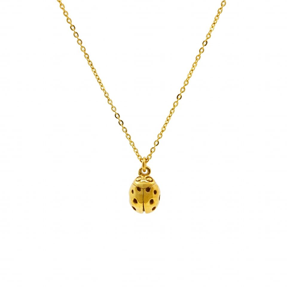 Looking for a new subtle necklace you can wear everyday and show some flair? Then our ladybird necklace is for you.  Elegant and understated, but will show off your wild side too 🐞
#ladybug #ladybird #ladybirdnecklace 
#ladybugnecklace #ladybugjewel