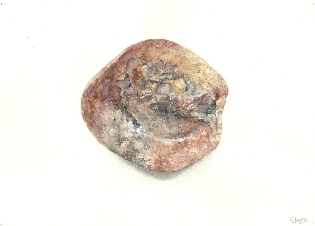 Weathered Geology / The University of Hong Kong / Education / 2025