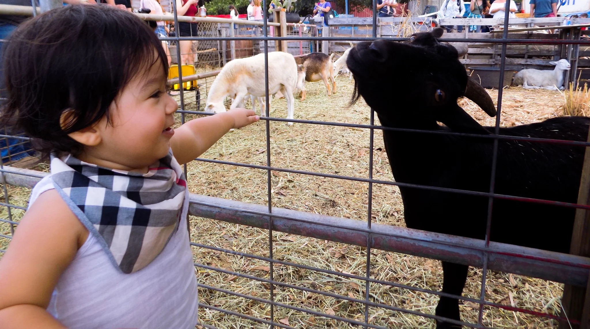 The Simple Fall Accessory For Your Toddler