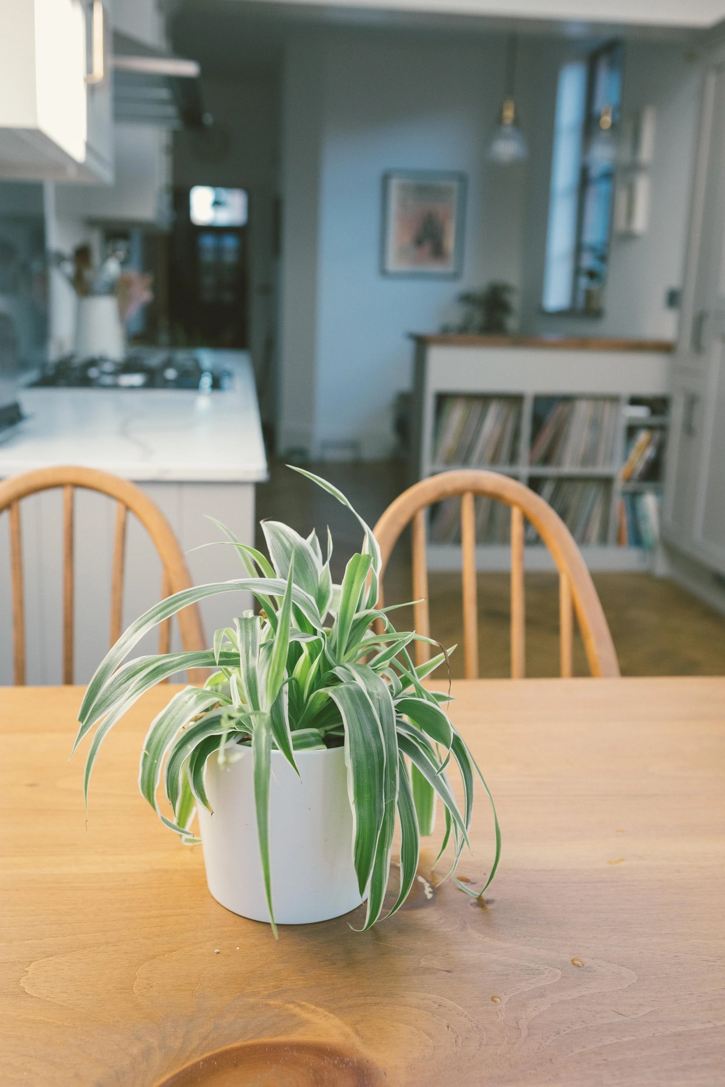 Victorian Terrace Extension - WOW Developments - kings heath, Birmingham