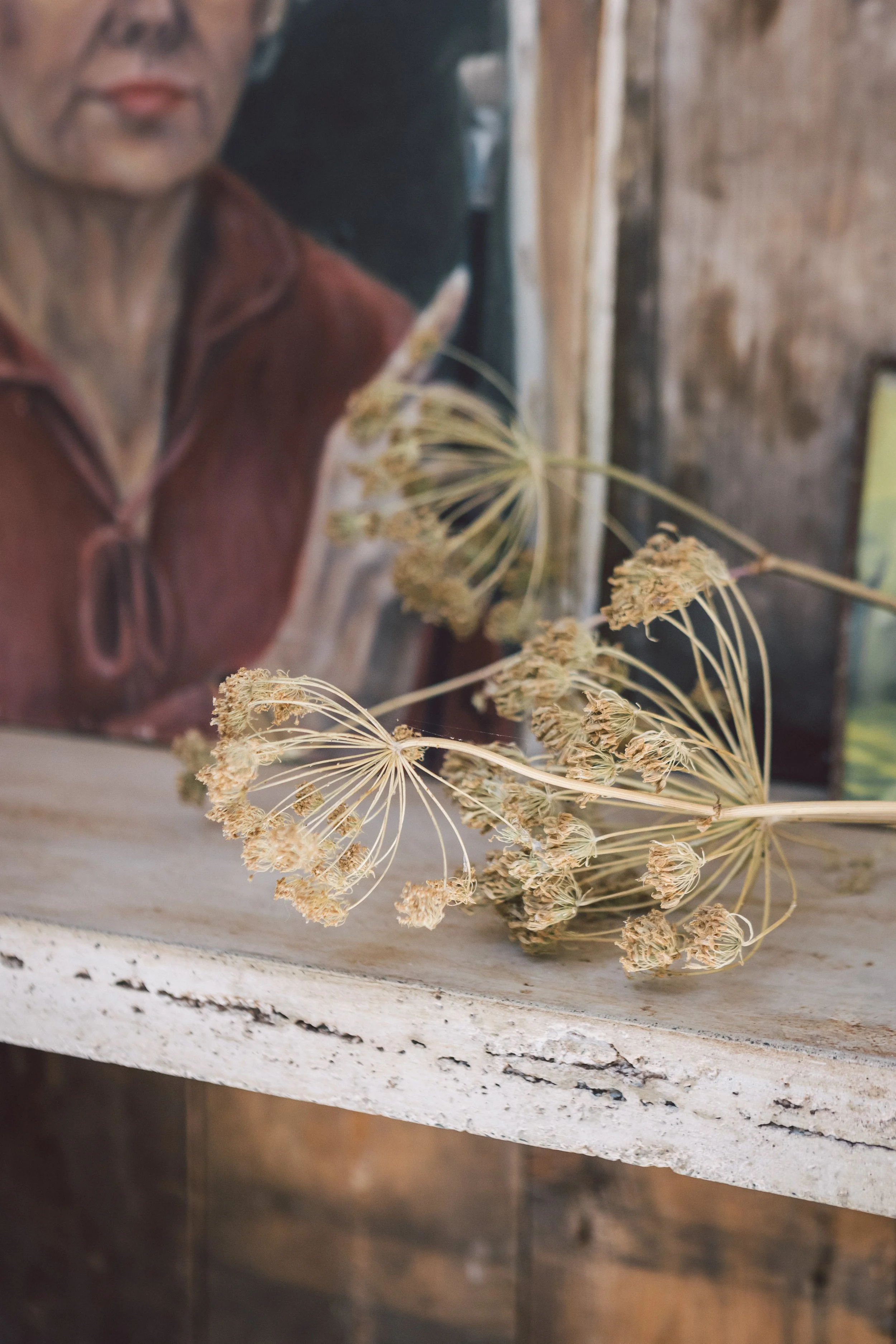 Midcentury inspired kitchen dining space - WOW Developments - Moseley