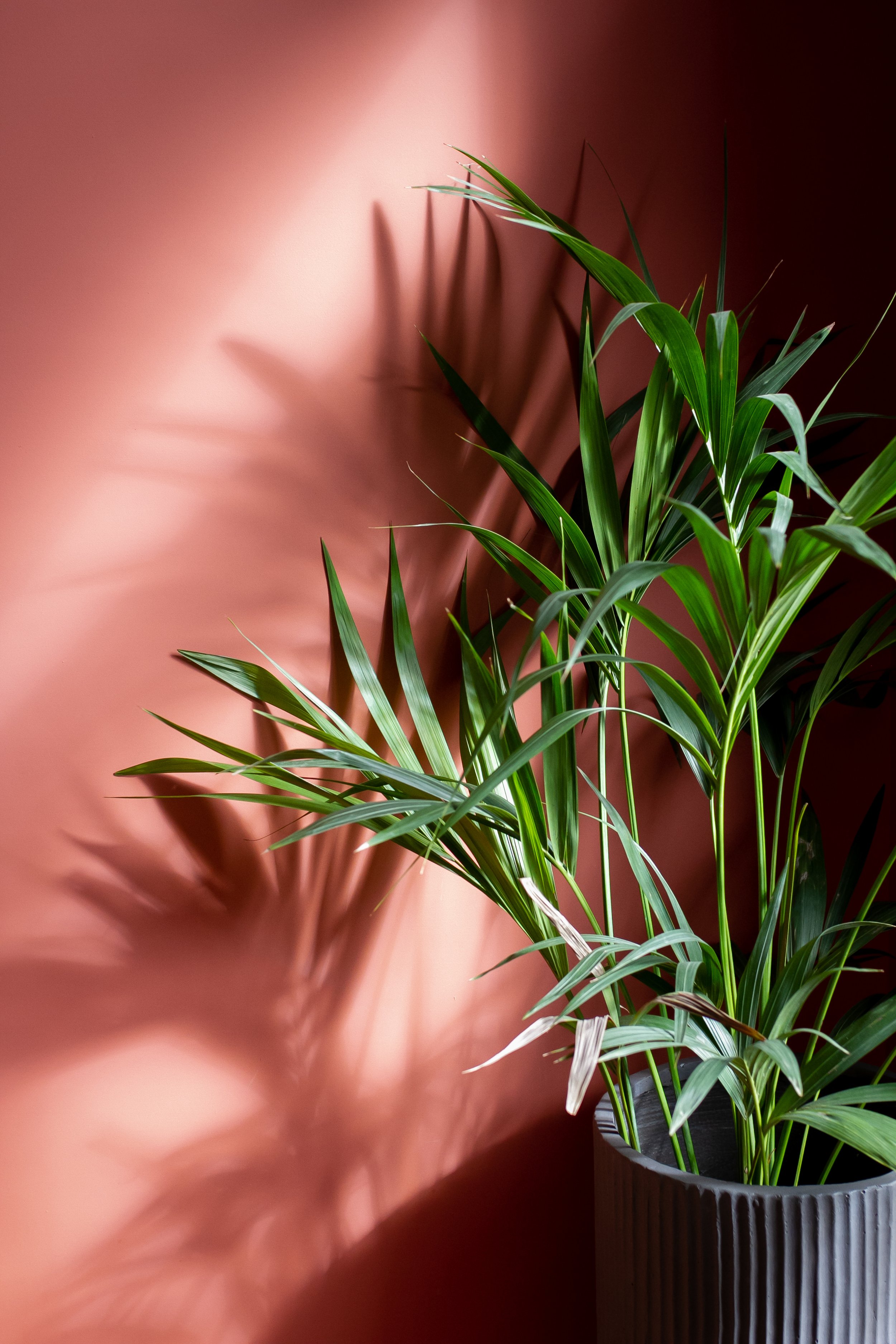 WOW Developments - residential property renovation. Birmingham, UK