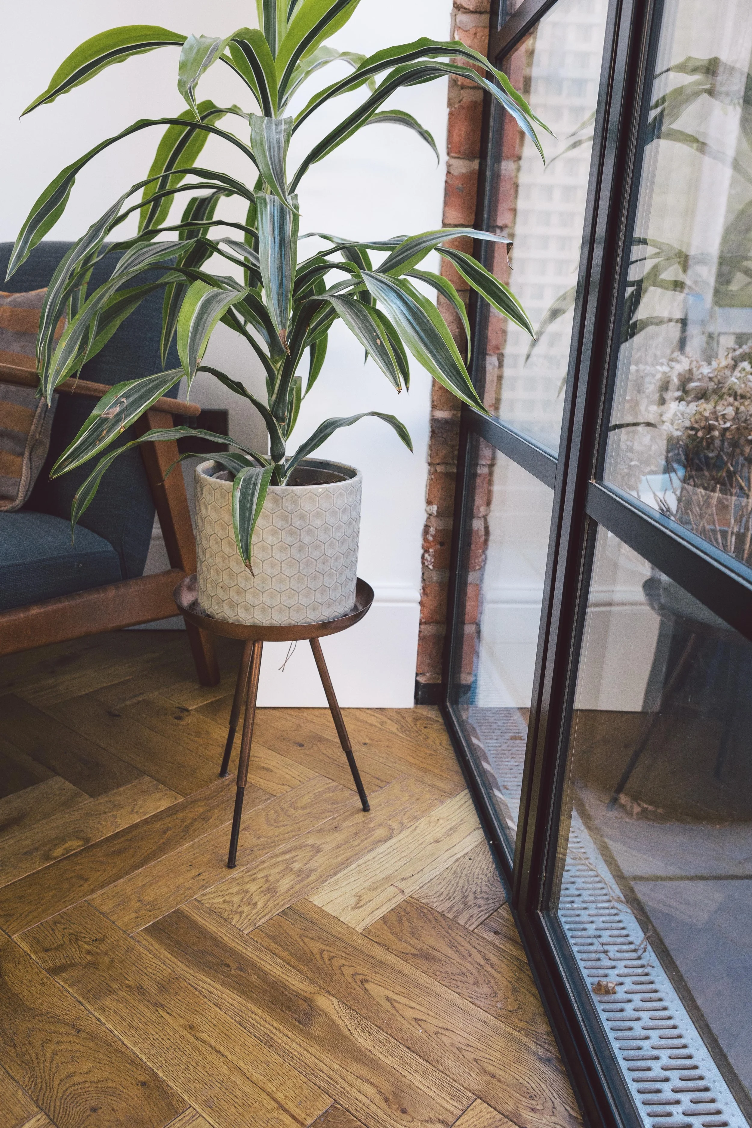 Victorian Terrace Extension - WOW Developments - kings heath, Birmingham