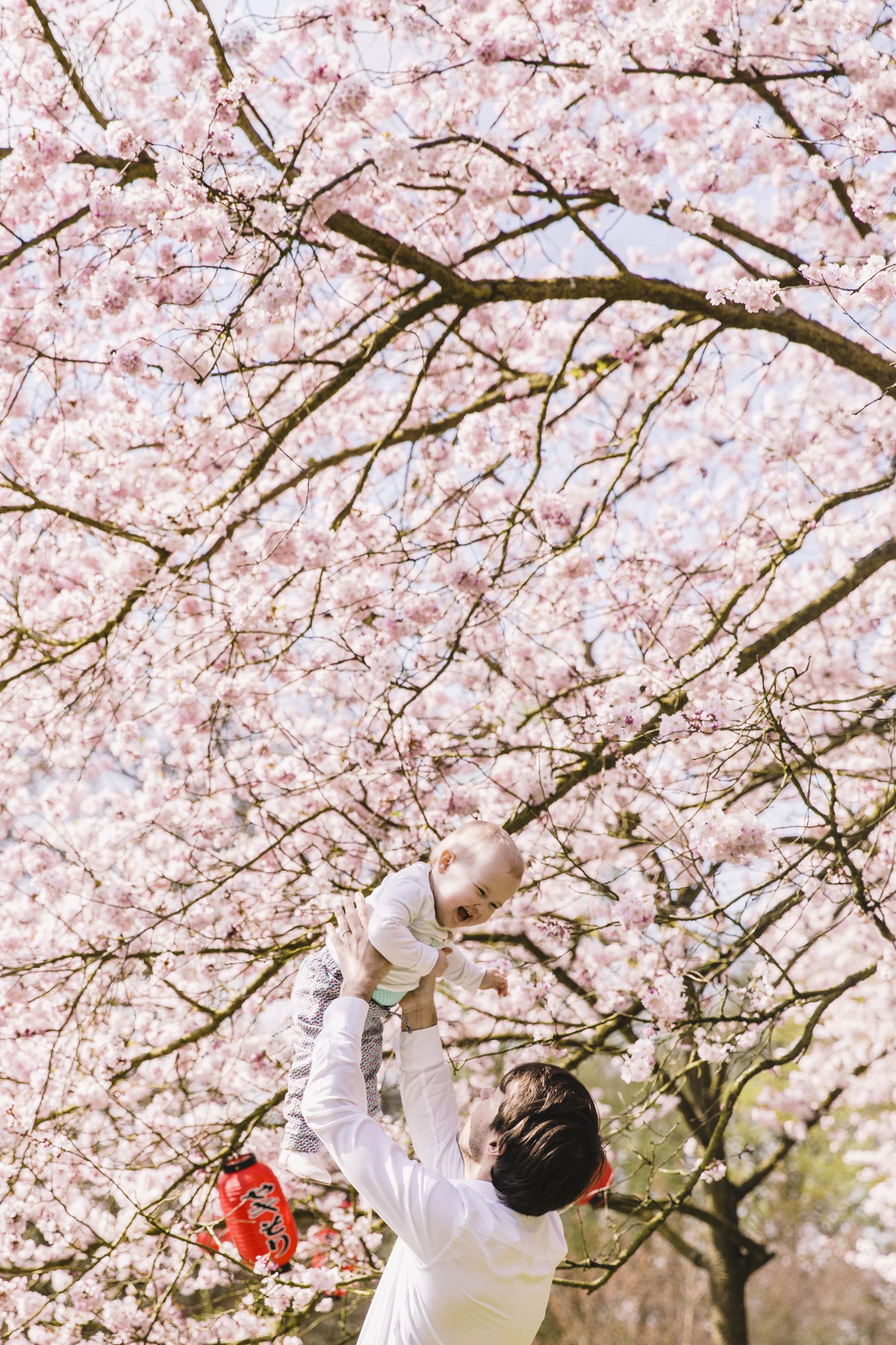 LorexGeert Japanse Tuin-14.jpg