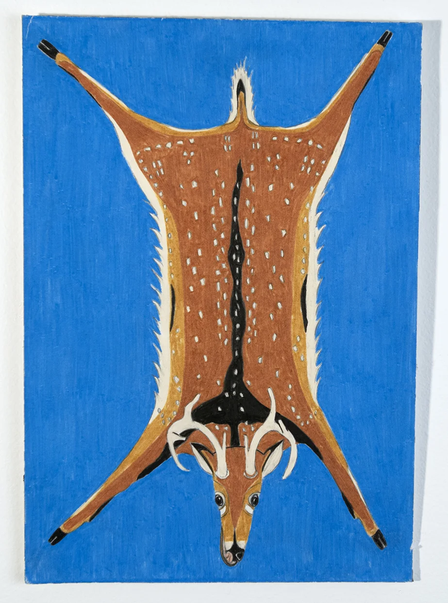 DEER STUDY 2016 COLORED PENCIL/PENCIL/ARCHES 9X6