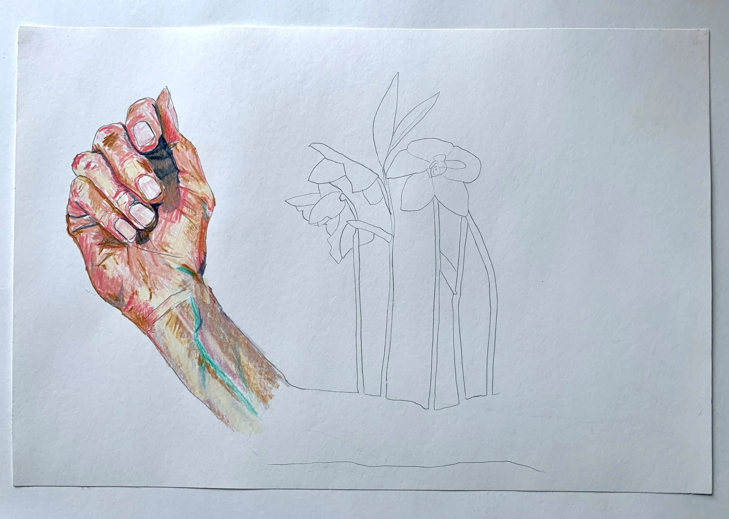 TRANSACTIONAL / 2022 / COLORED PENCIL / PAPER